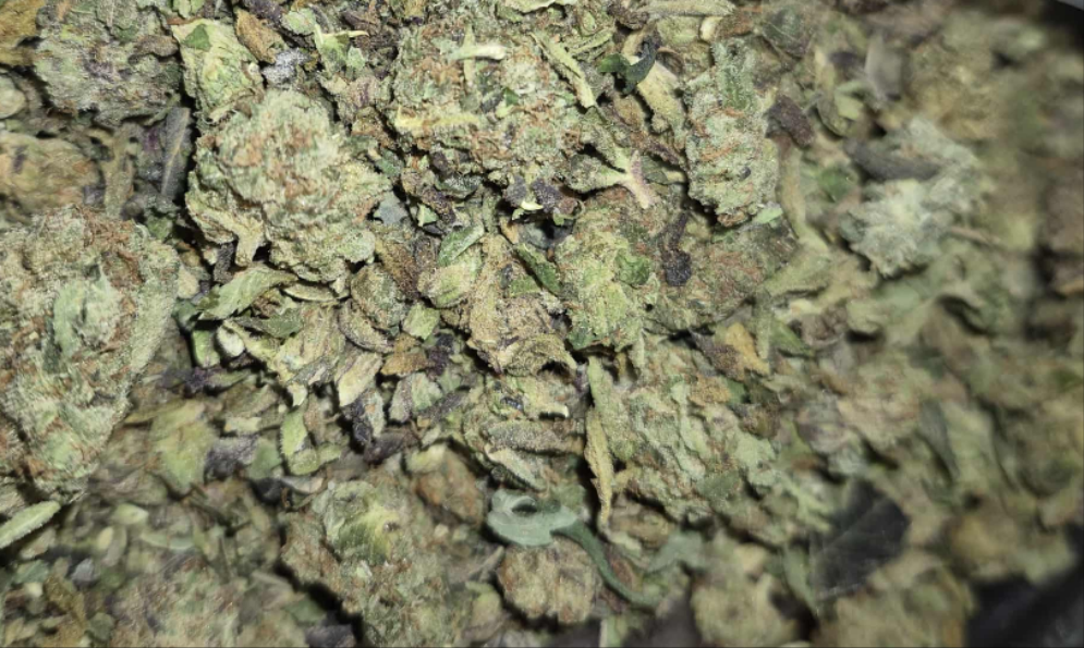 Rabbit Hole House Blend Shake