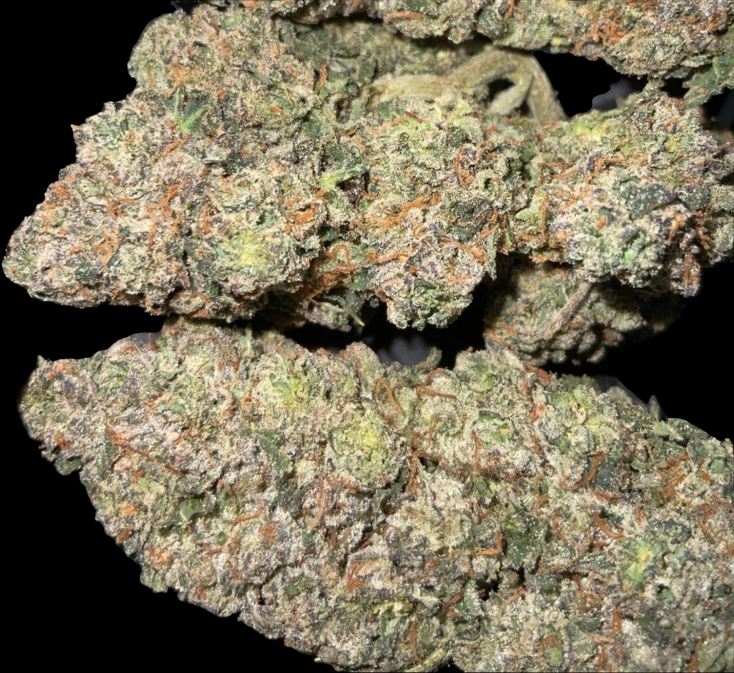 Lemon Sour Diesel Craft AAAA++ Sativa