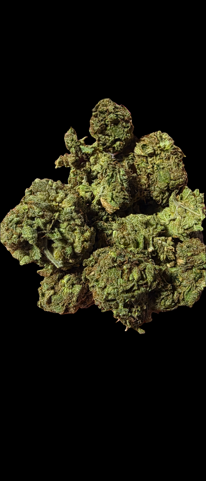 HYBRID