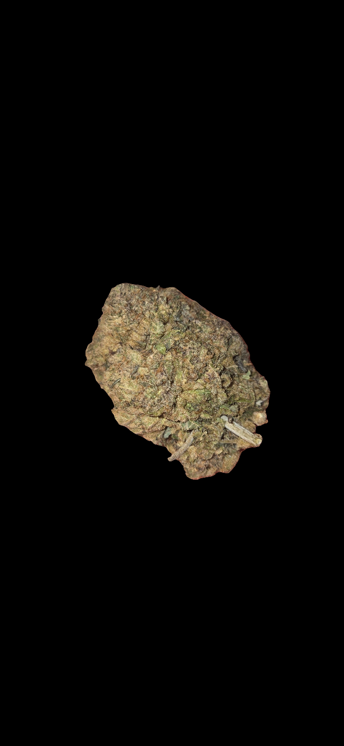Dosidos AAAA HYBRID