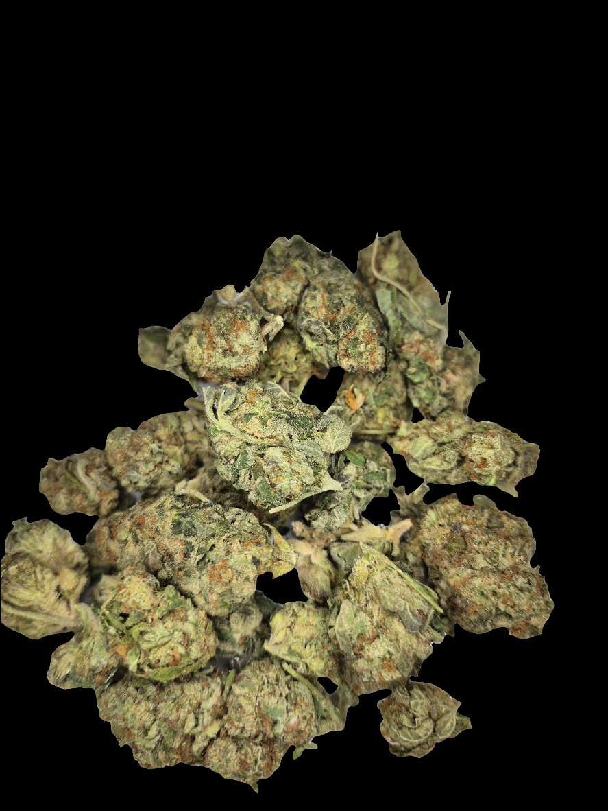 Silver Haze AAA SATIVA