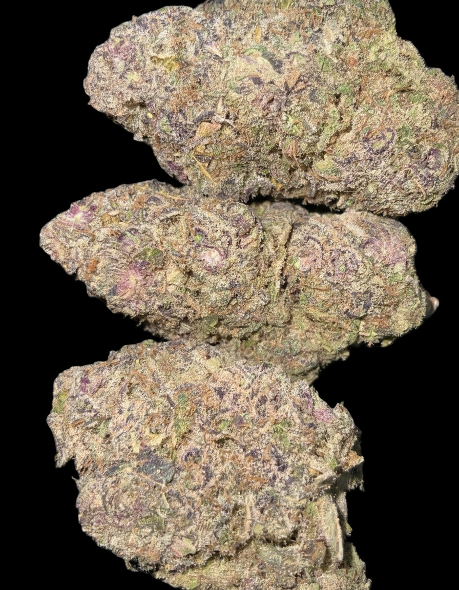 Strawberry Mango Haze AAAA+ Sativa