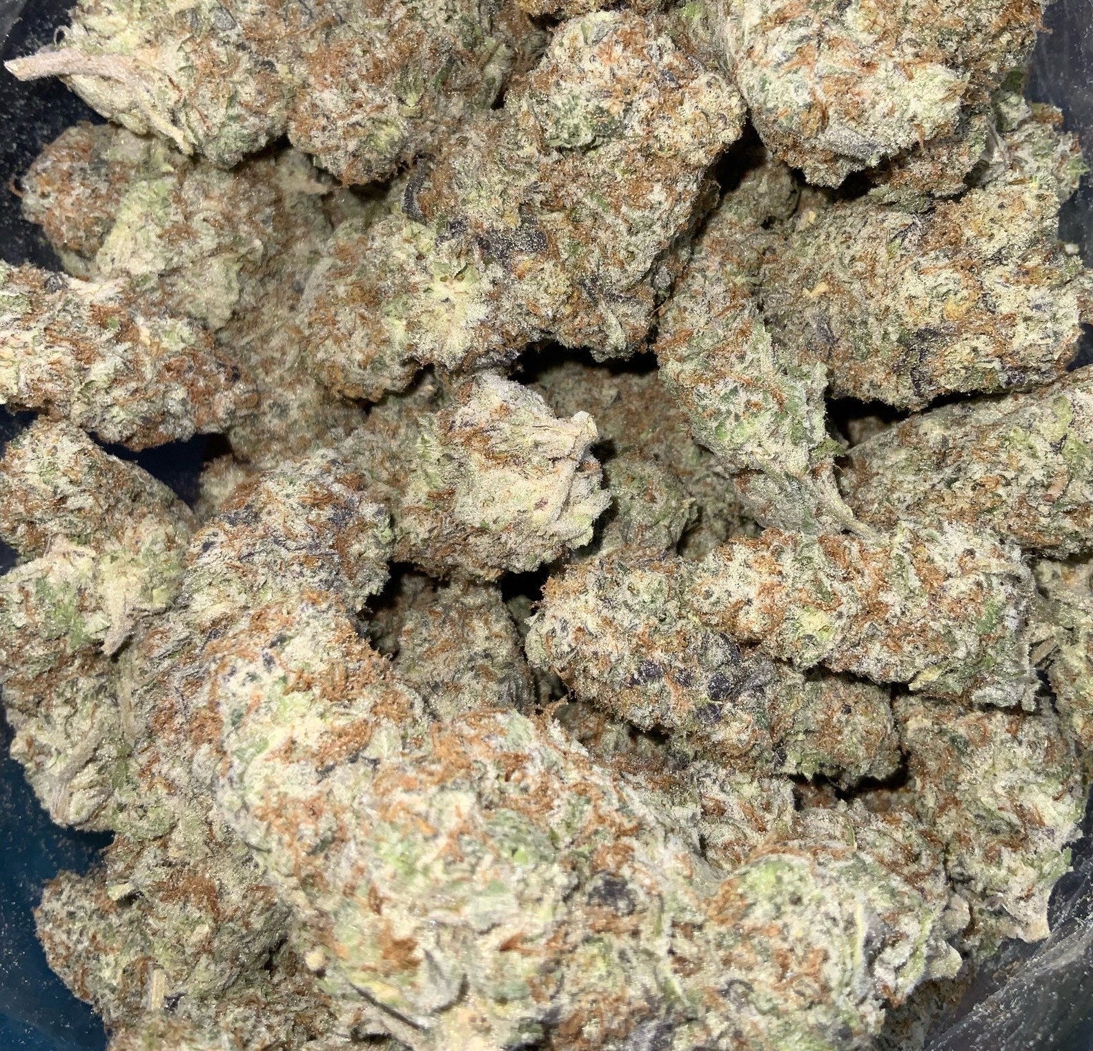 Colorado Creamcicle AAAA++ Craft Sativa
