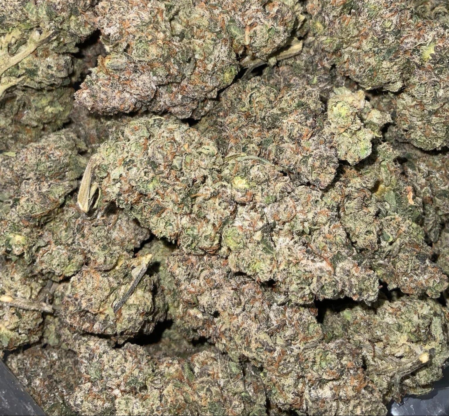 Lemon Sour Diesel Craft AAAA++ Sativa
