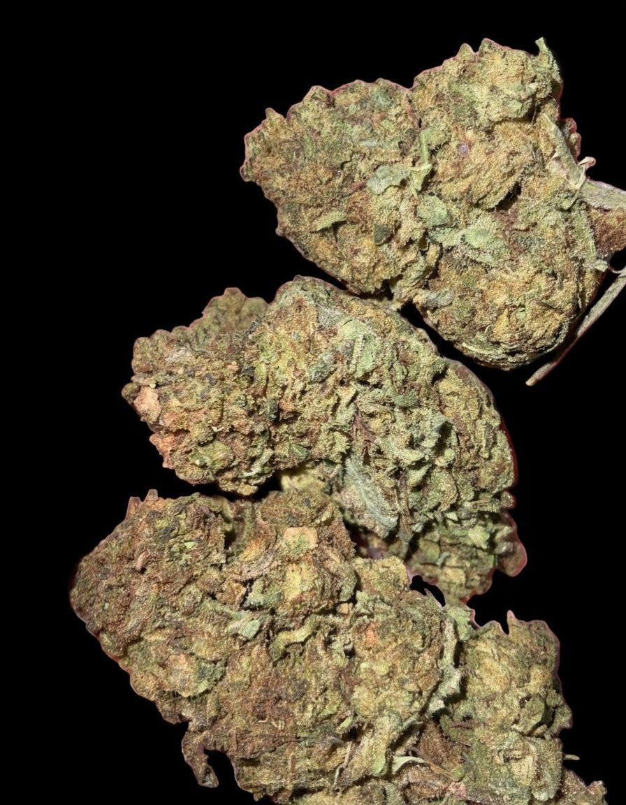 Guava Runtz AA Hybrid