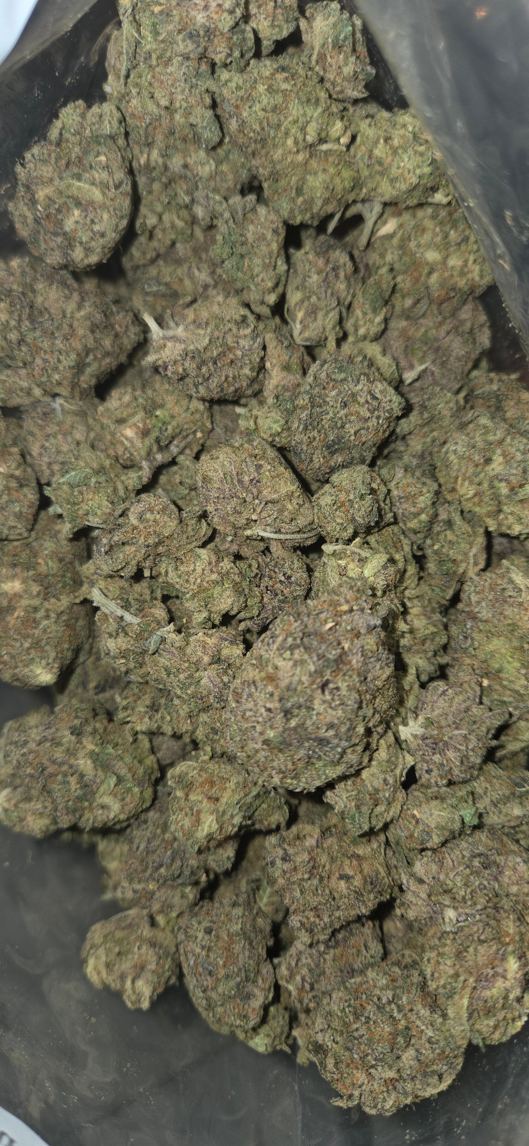 Dosidos AAAA HYBRID