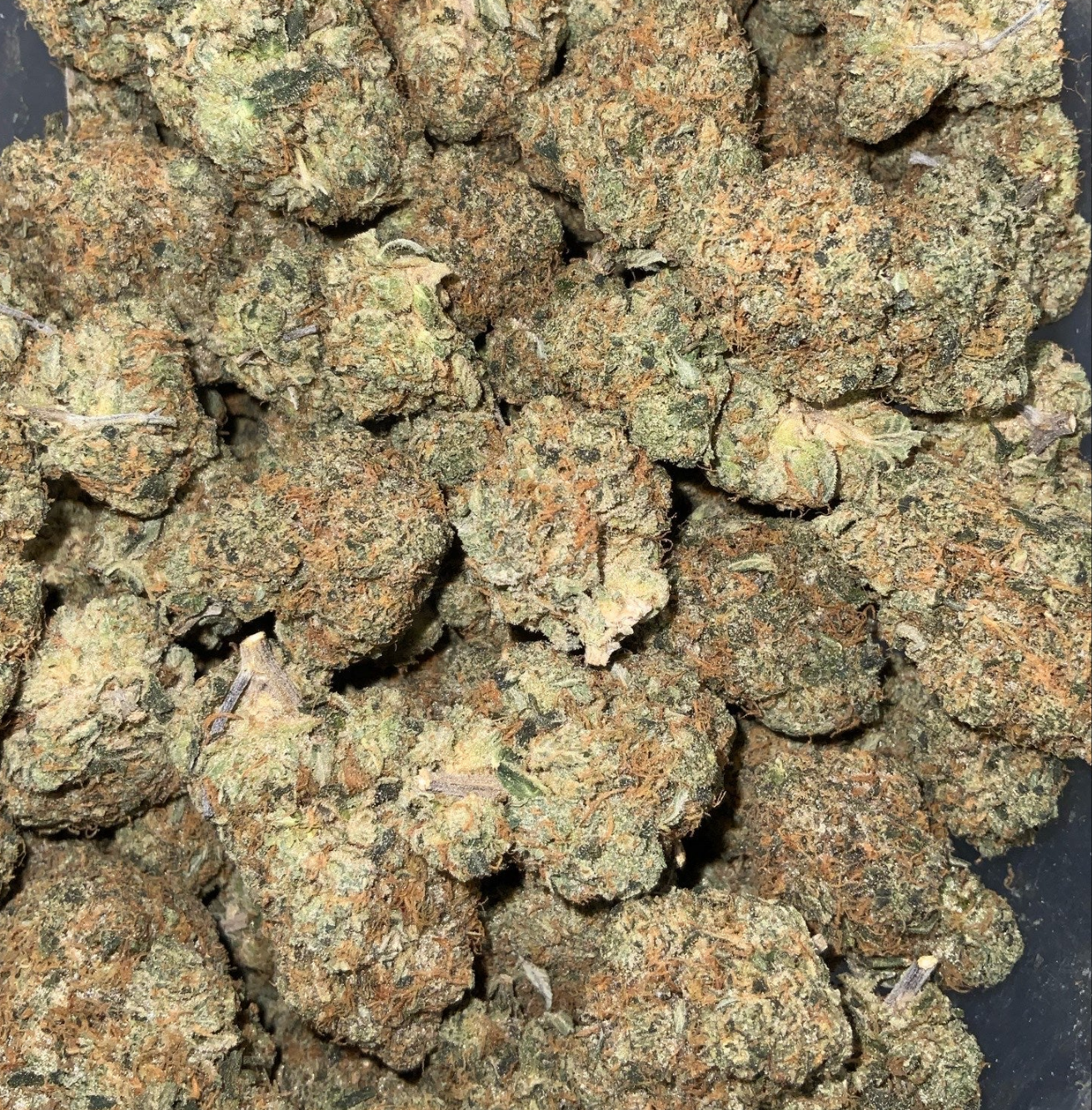 Blue Zombie AAAA INDICA