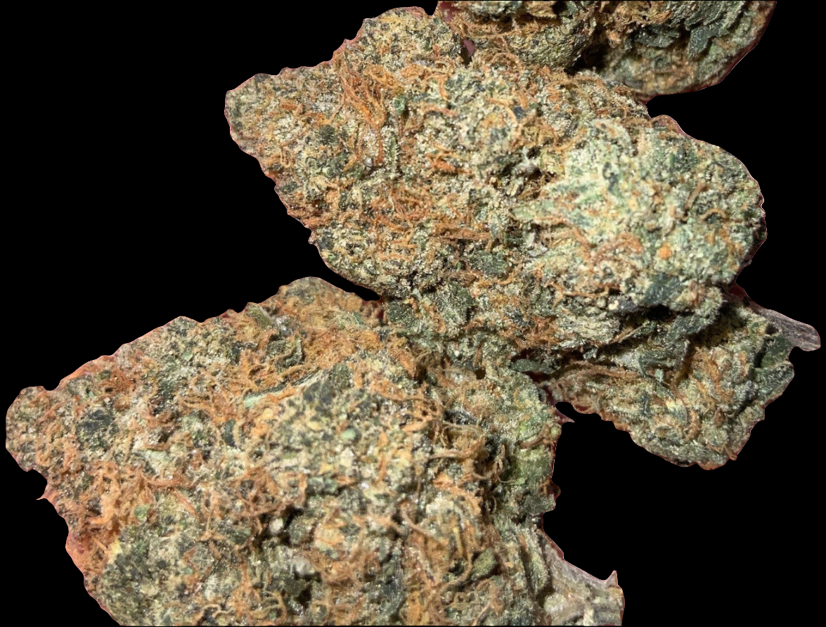 Blue Zombie AAAA INDICA