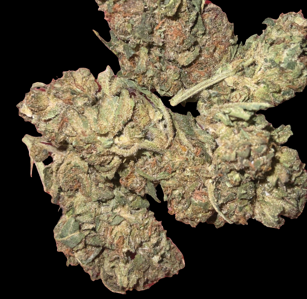 Wedding Cake AAA HYBRID