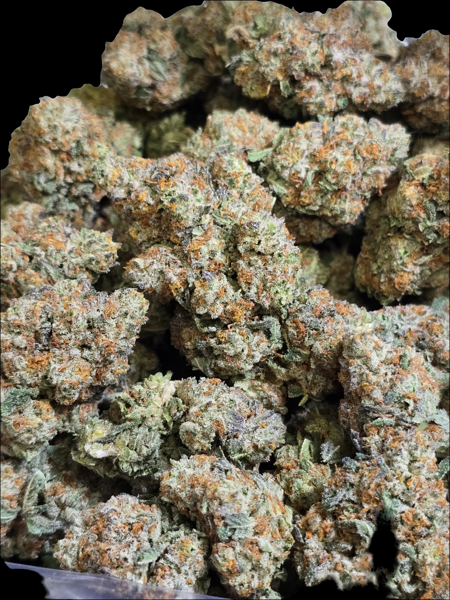 Sativa