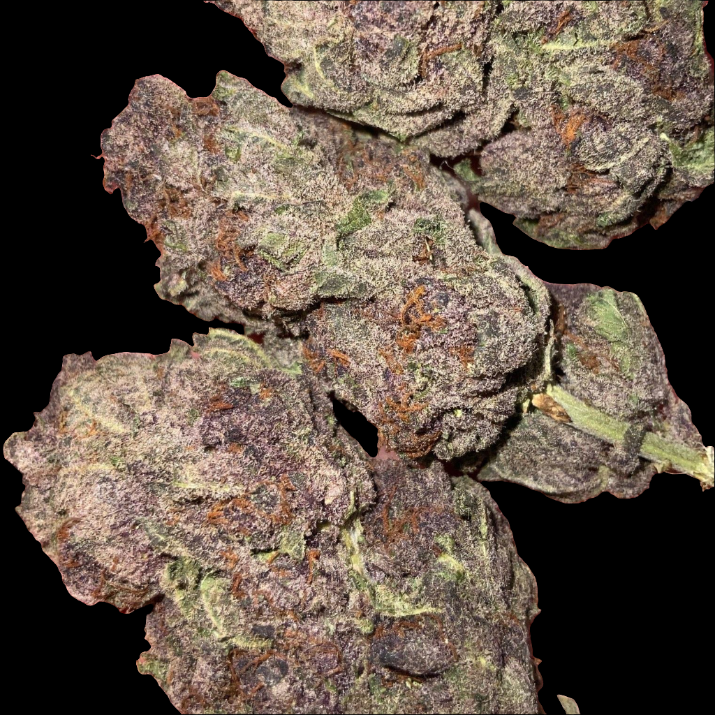 Hawaiian Pink Punch AAA SATIVA
