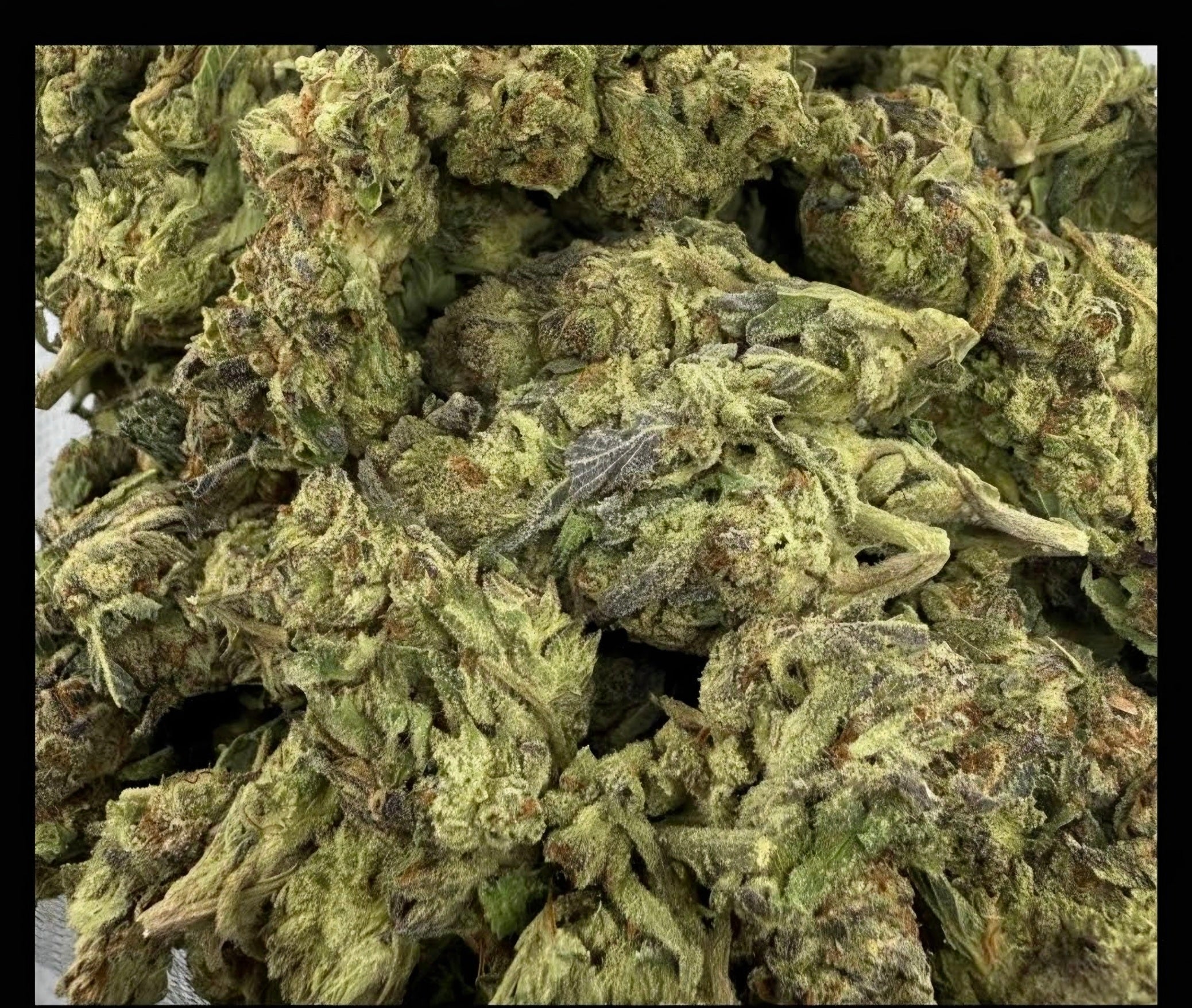 Purple Kush Budget Indica