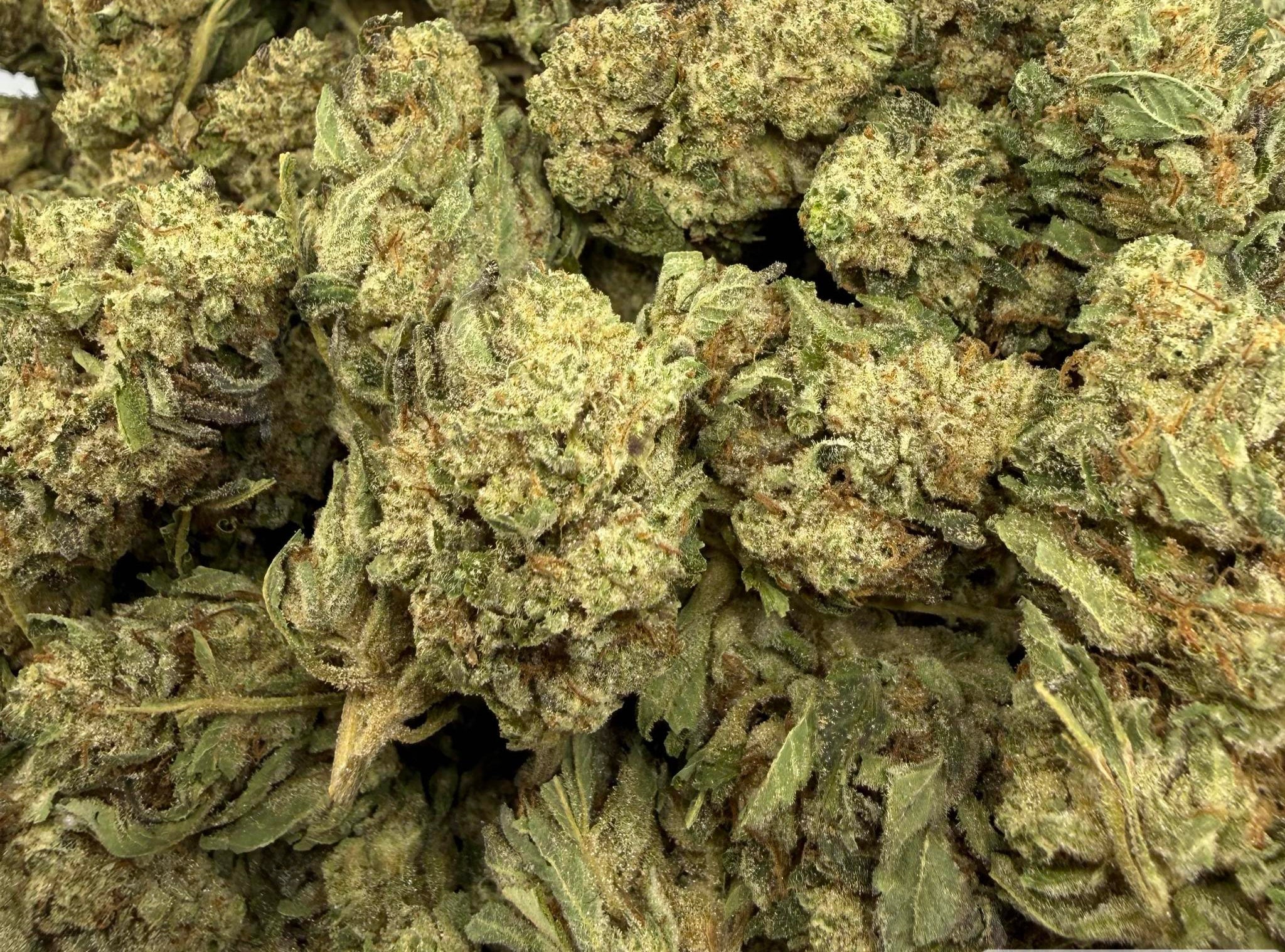 LA Confidential AAA Indica