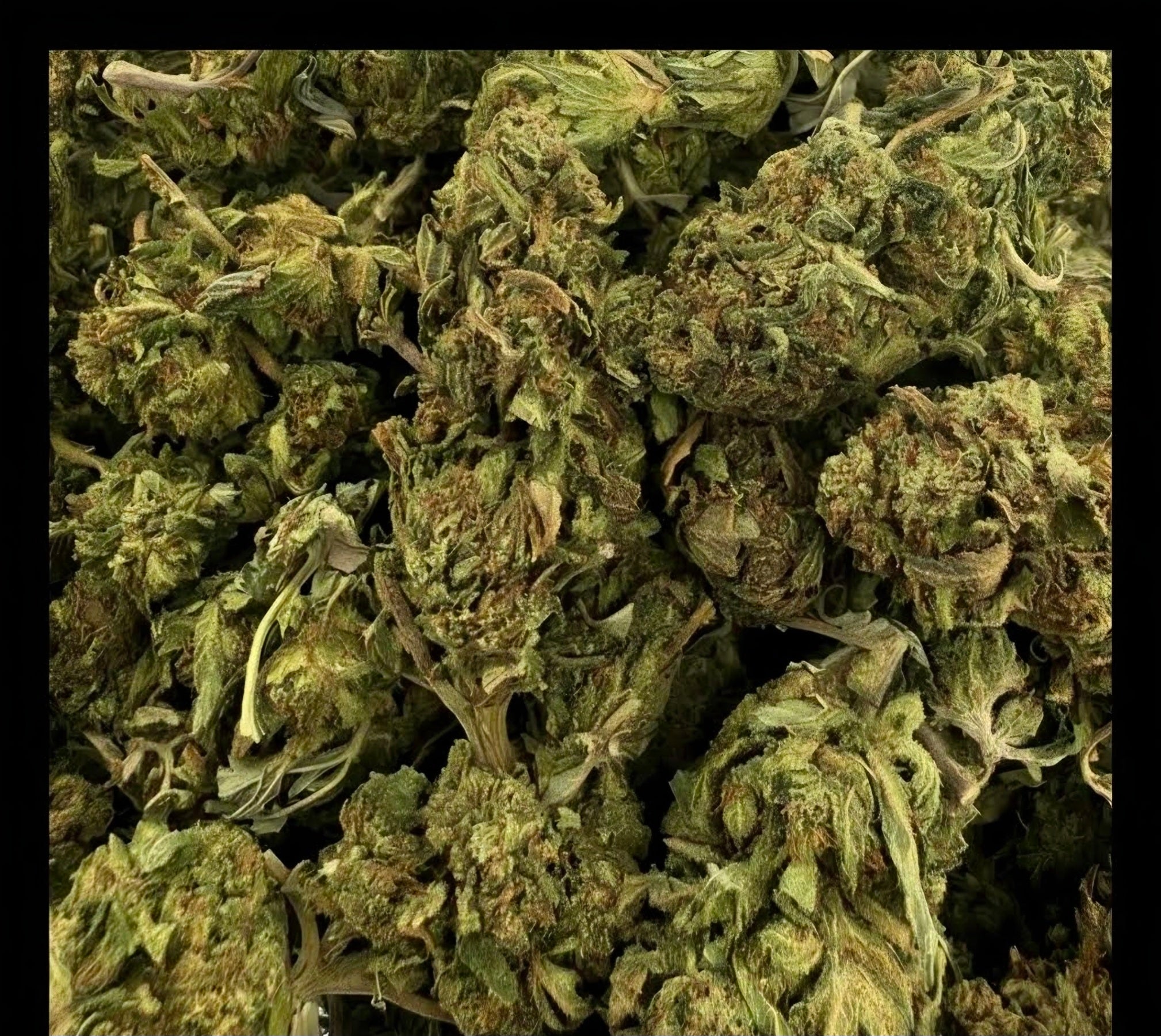 Super Skunk Budget Ounce Indica