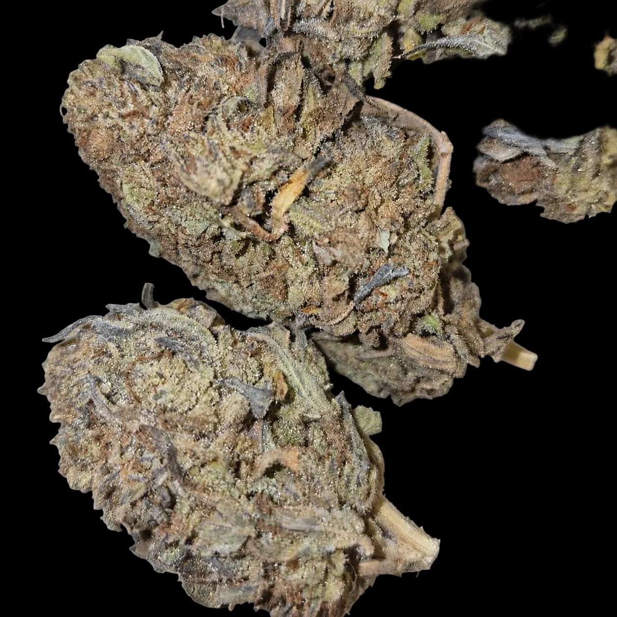 Purple Cookies Budget Indica