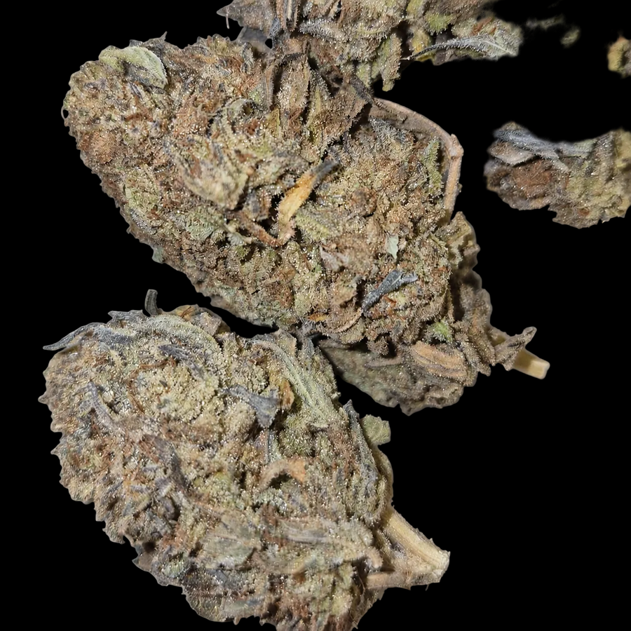 Purple Cookies Budget Indica