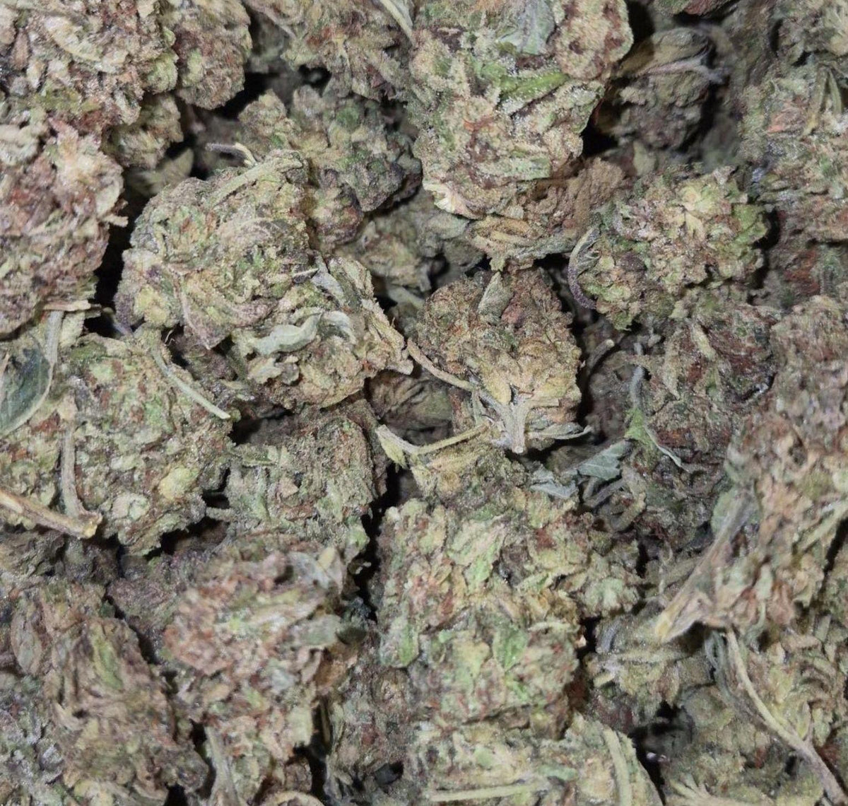 Jet Puff AA Sativa