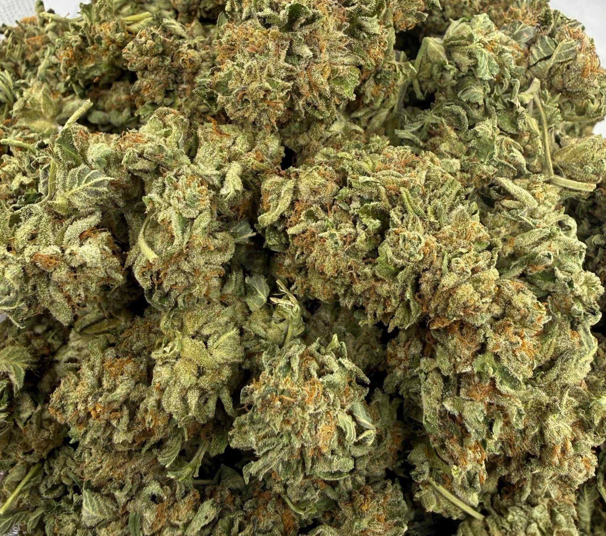 Pink Rockstar AAA Indica