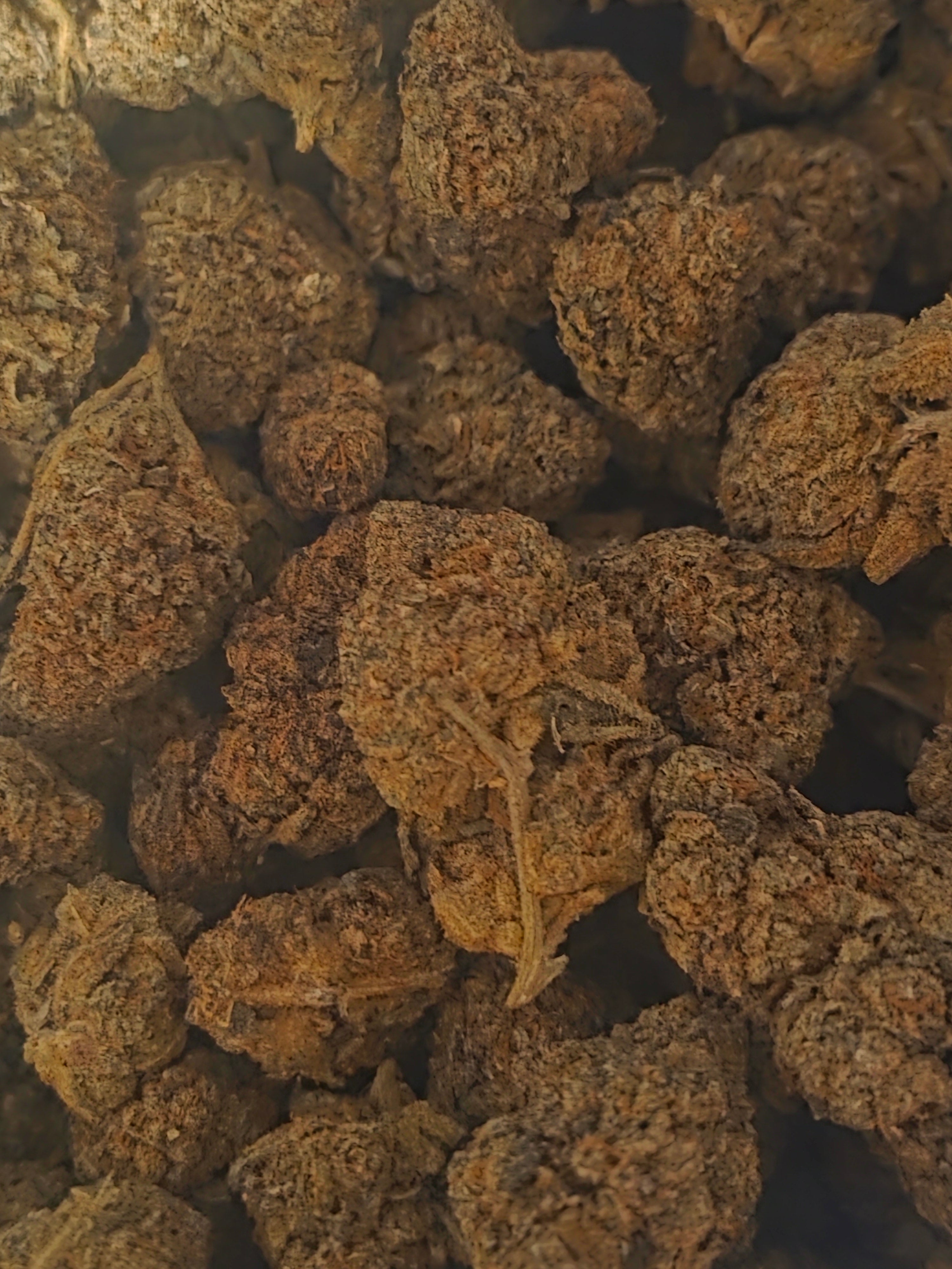Tropicanna Cookies AAAA+ Sativa