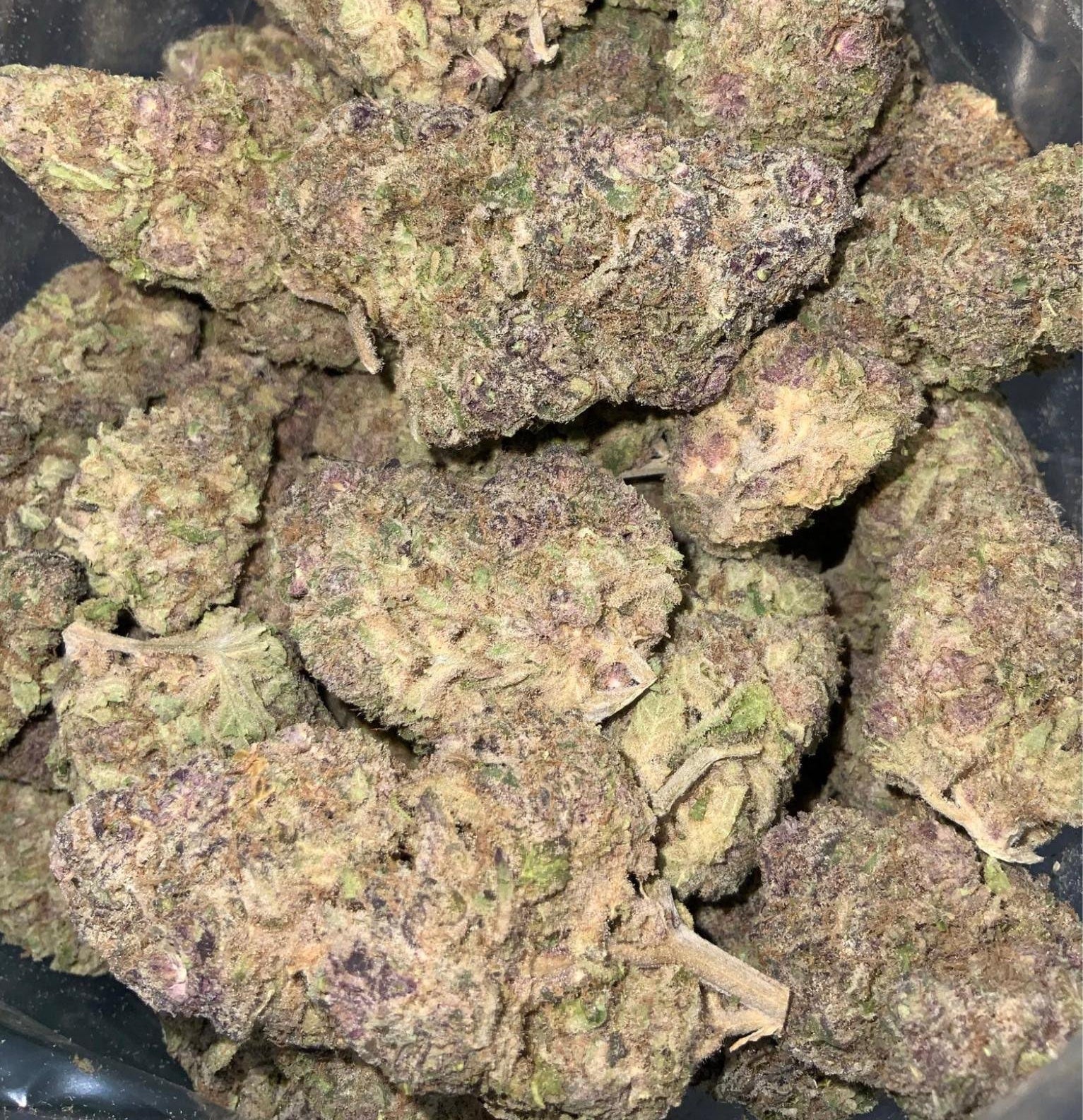 Strawberry Mango Haze AAAA+ Sativa