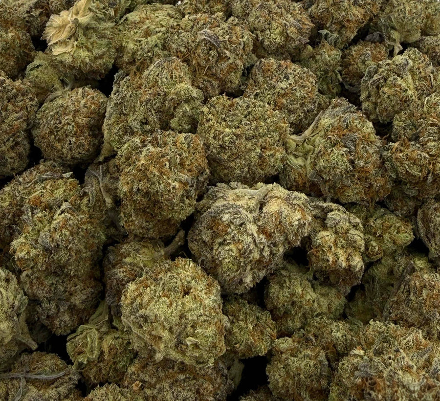 Slurricane AAAA+ Indica