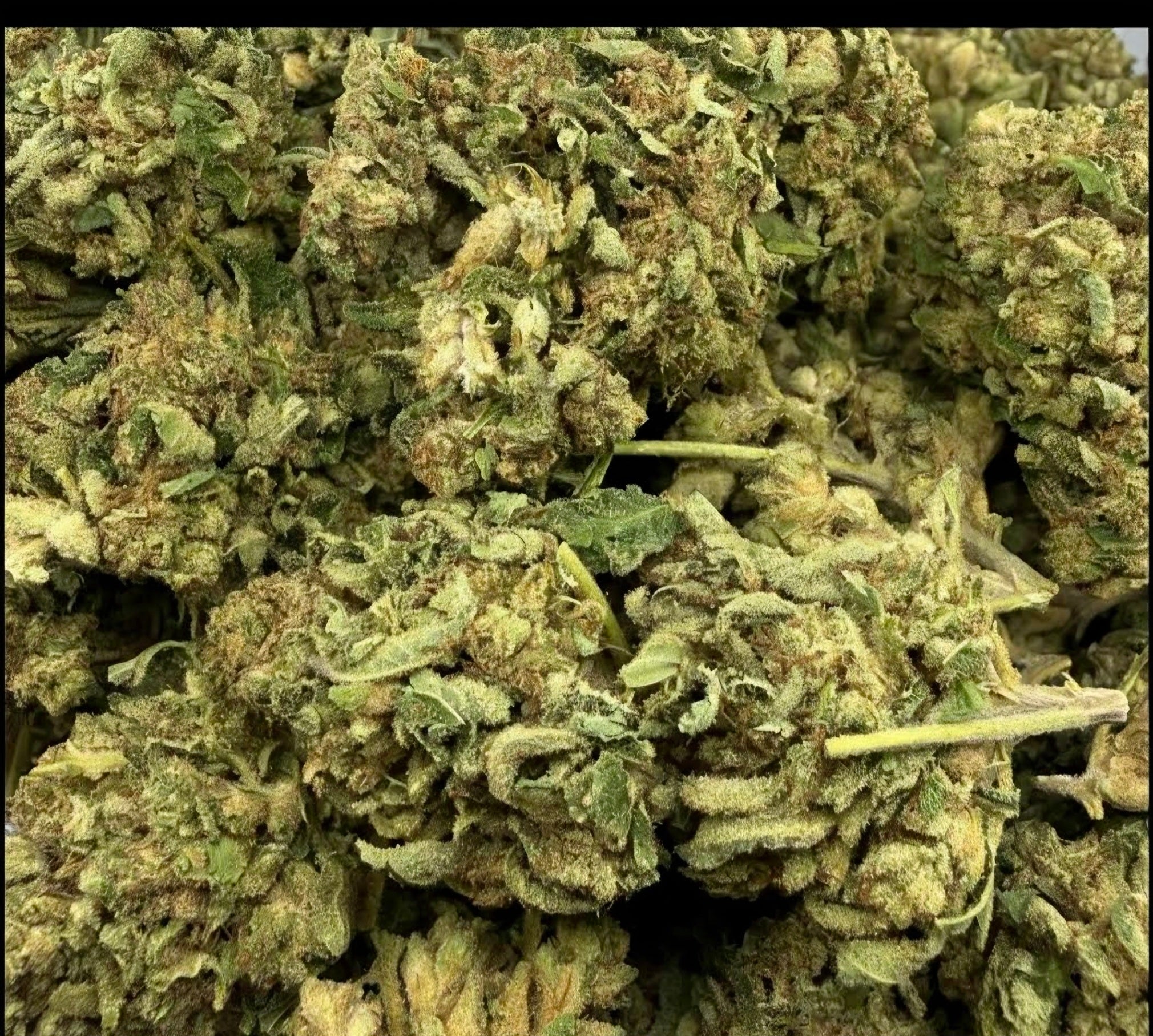 Cookies and Cream AAA Hybrid