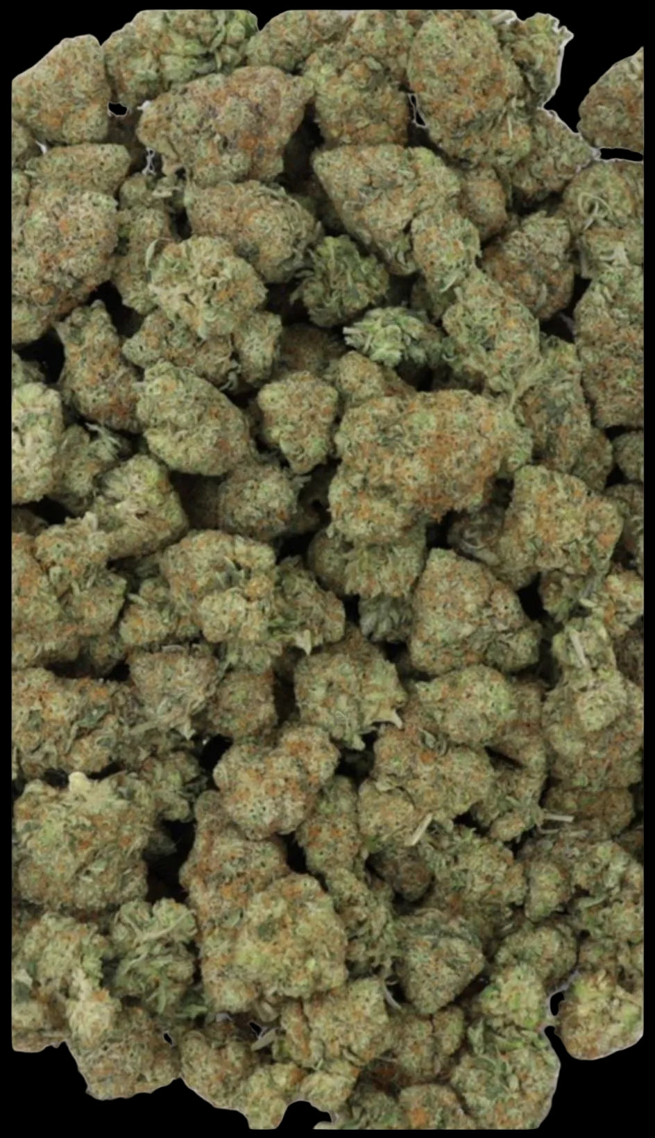 HYBRID