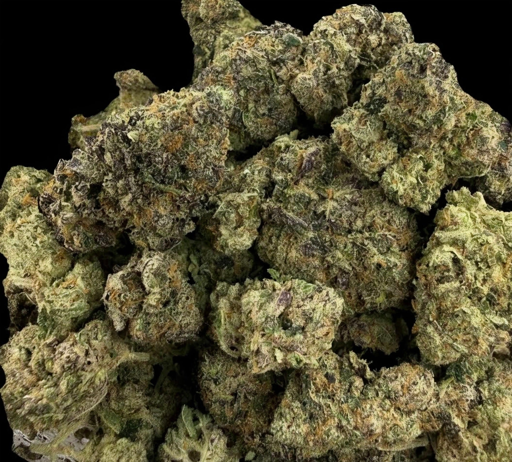 Purple God Craft Quad Indica