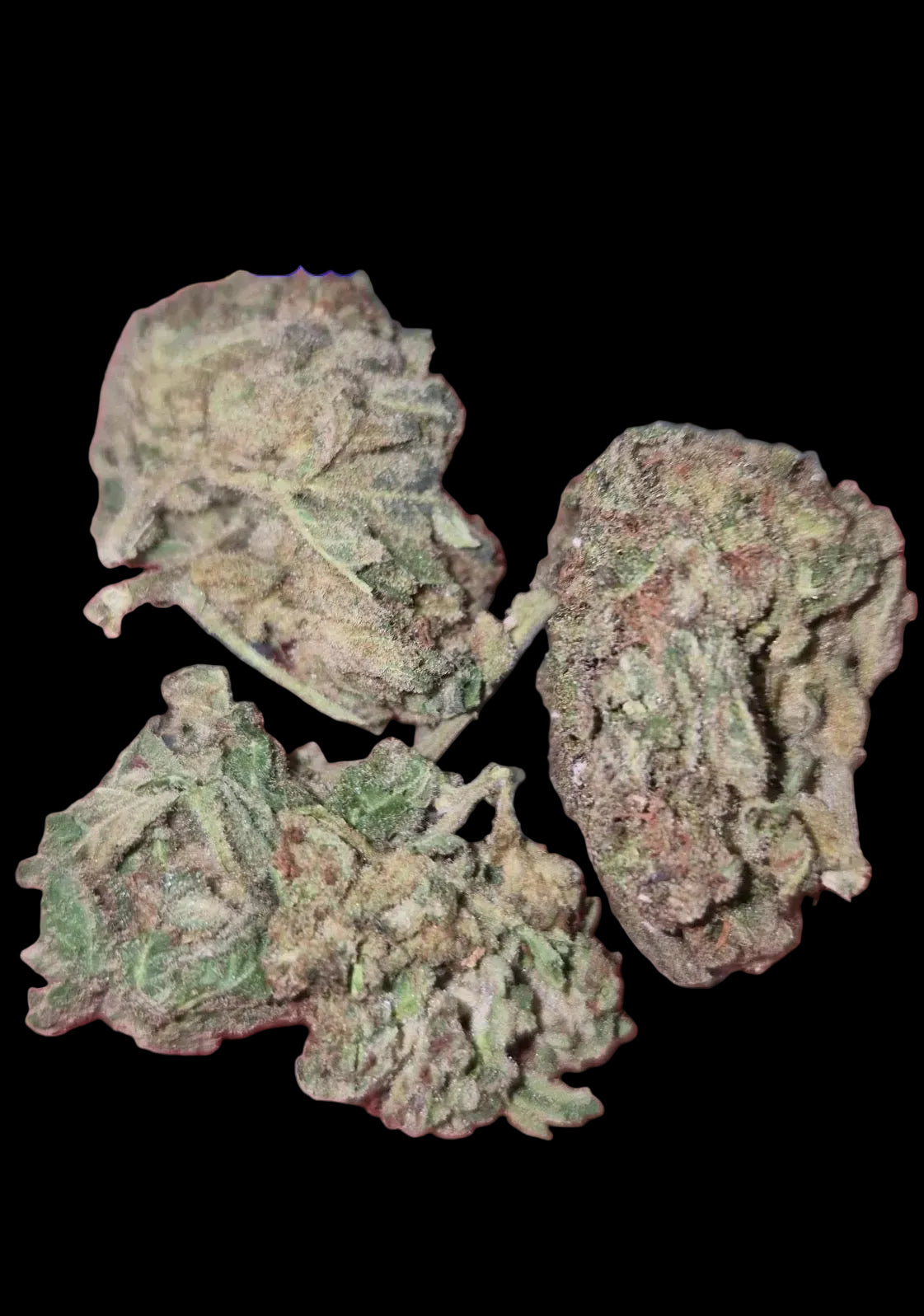 Cotton Candy AAA Hybrid
