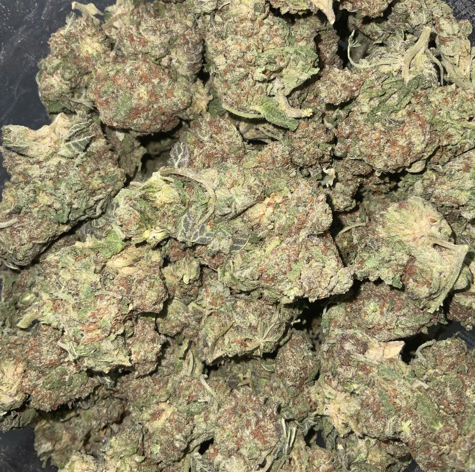 ANIMAL COOKIES INDICA