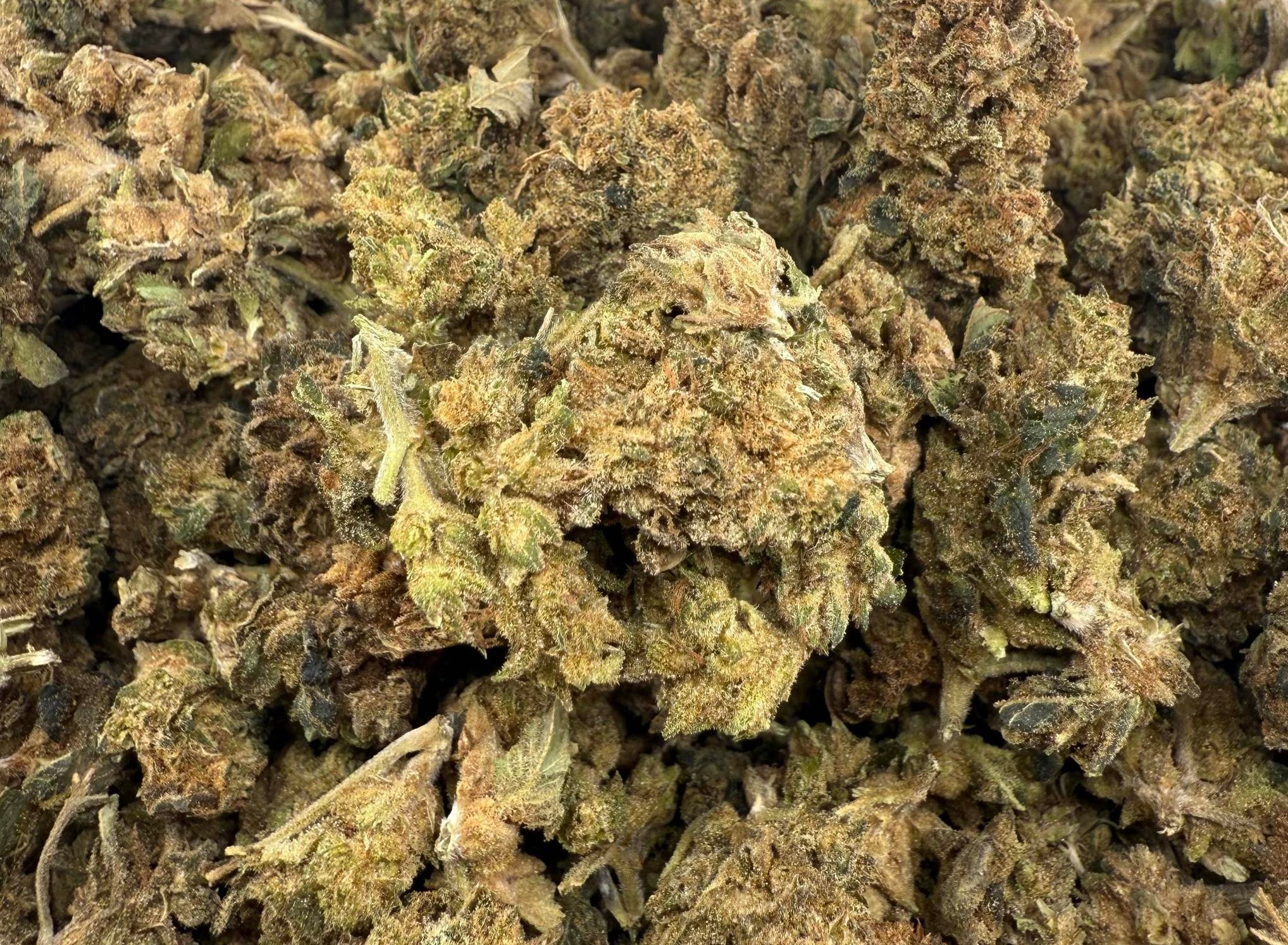 Chocolate Rain Budget Oz Hybrid
