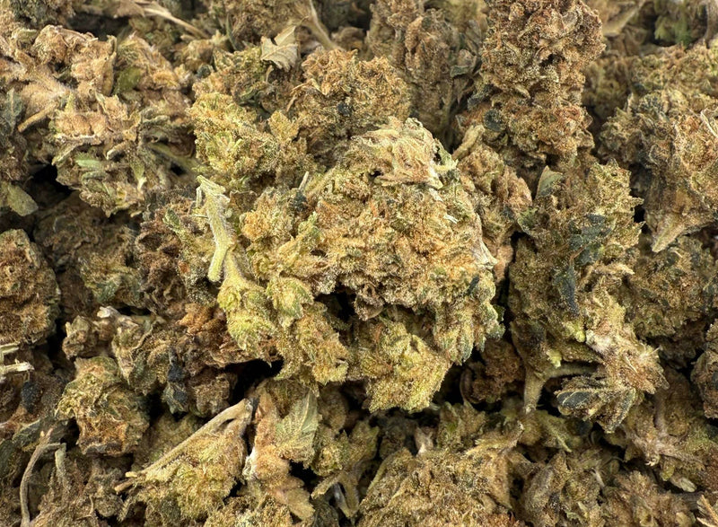 Chocolate Rain Budget Oz Hybrid