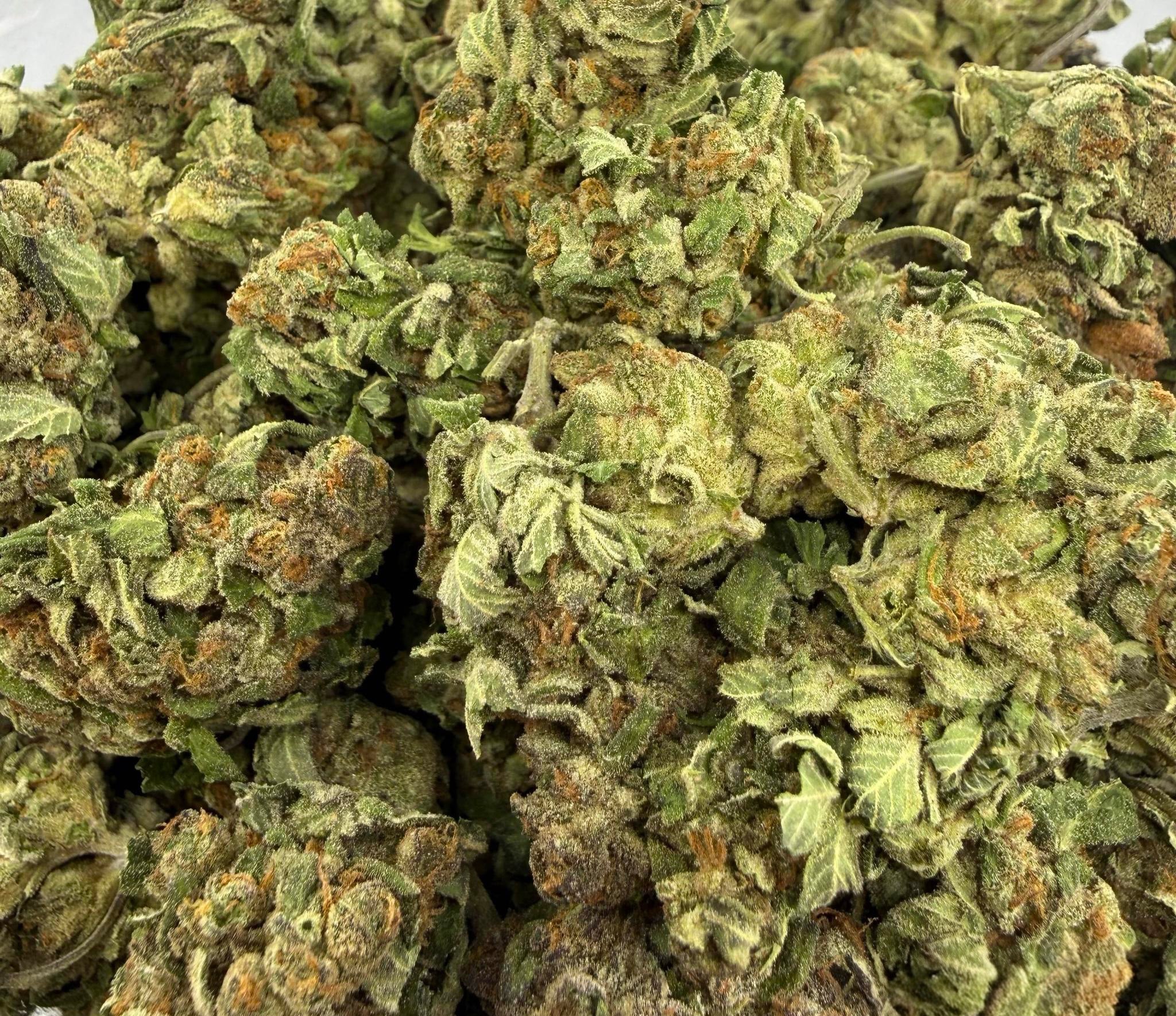 Sour Amnesia AAA Sativa