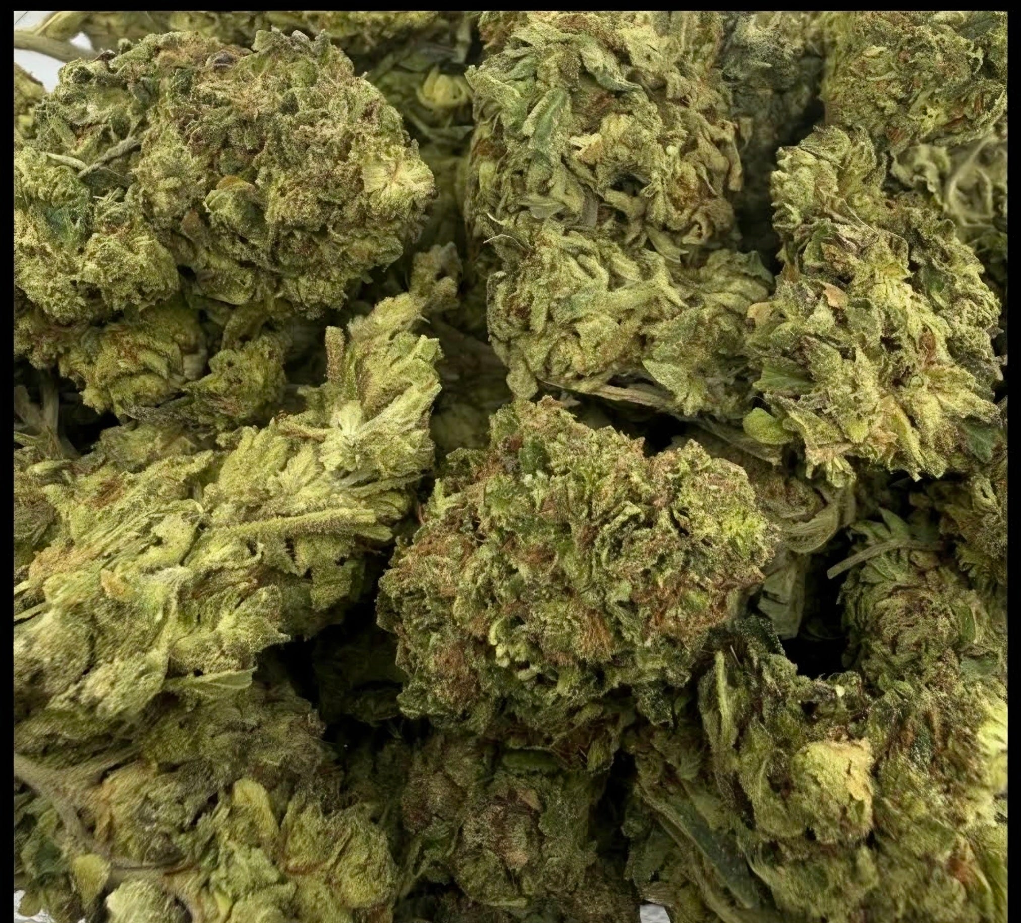 Hawaiian Trainwreck AA Sativa