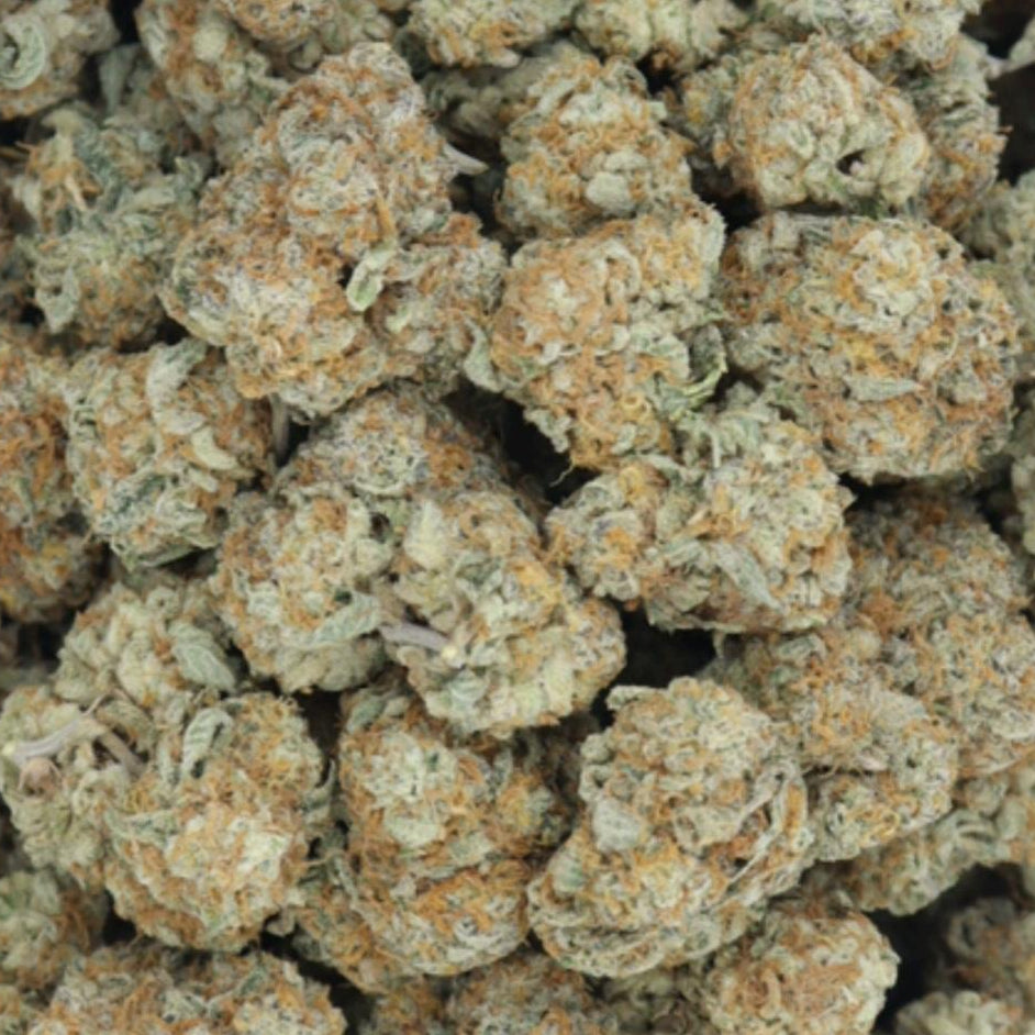 Super White Widow Craft HYBRID
