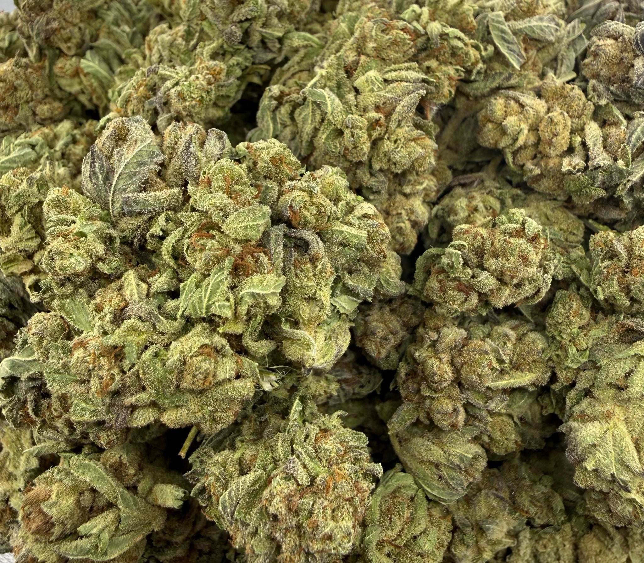 Purple Diesel Budget Hybrid