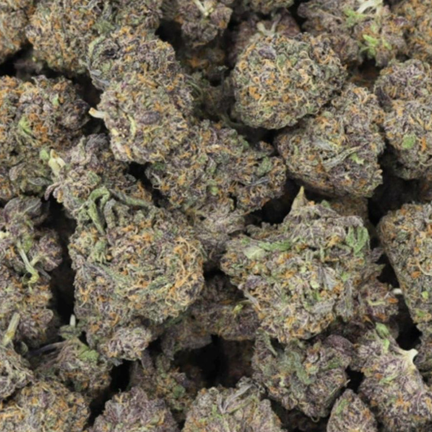 Purple Gorilla Craft Indica