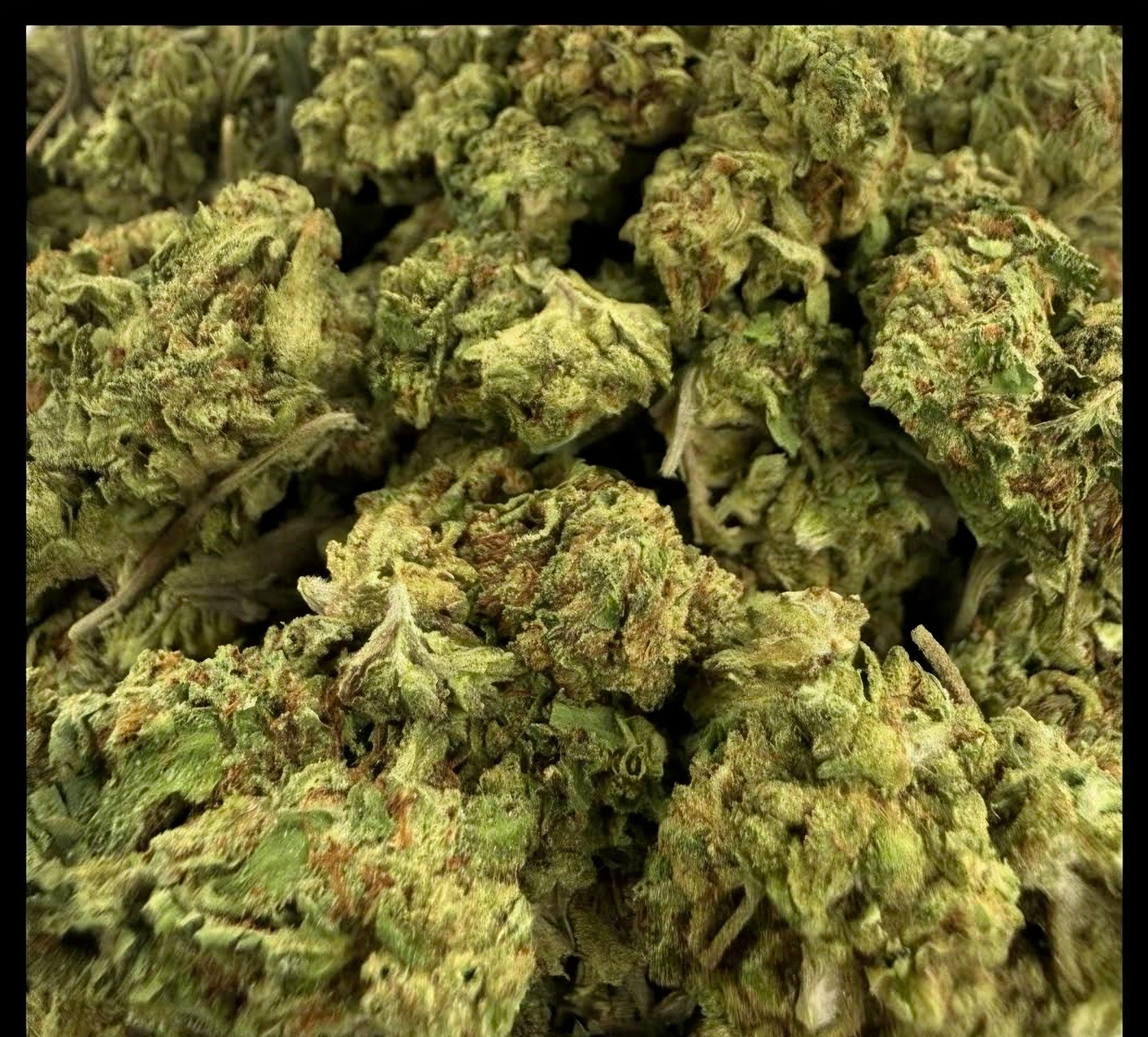 Tigers Blood AA INDICA