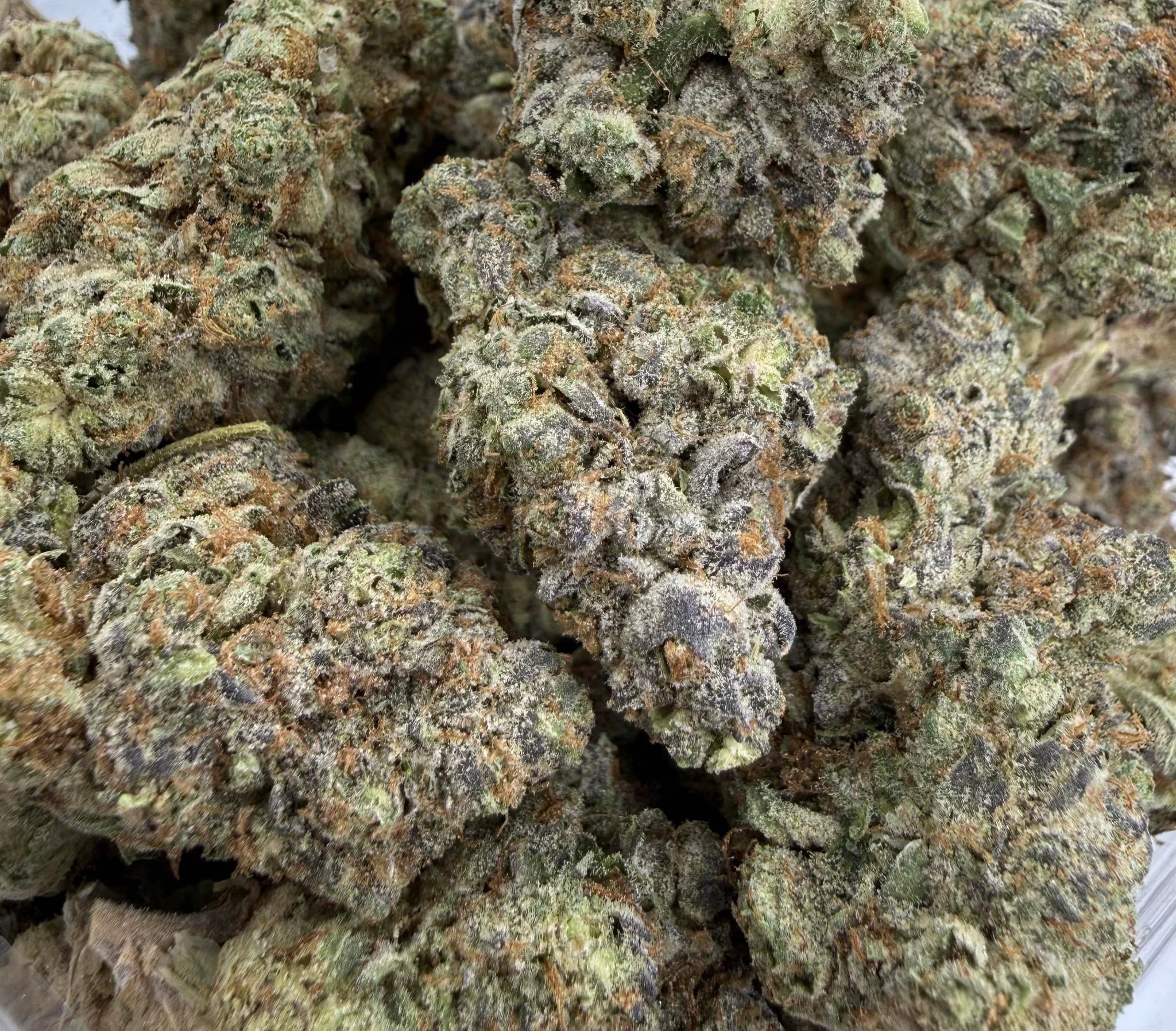 Purple Dream Craft Sativa