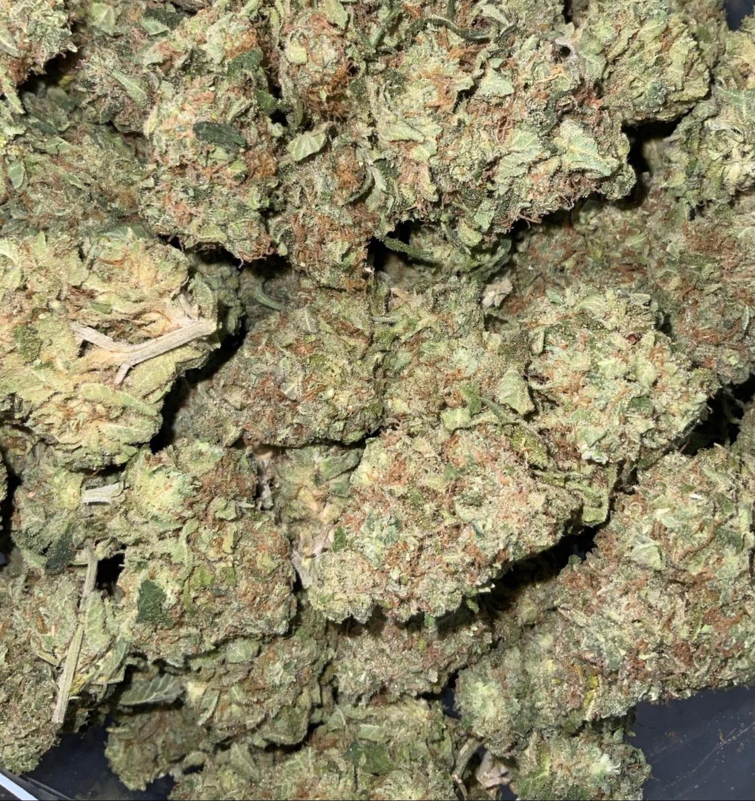 Lemon Pound Cake AAAA+ Sativa