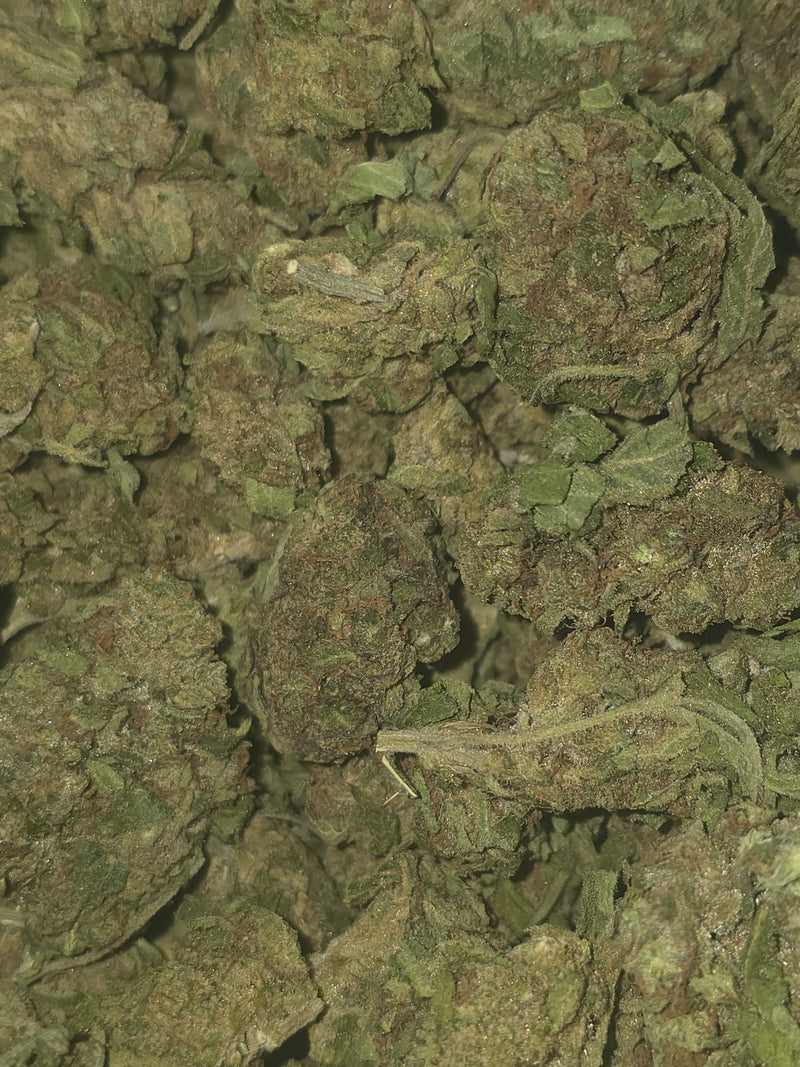 Electric Punch AAAA+ Hybrid