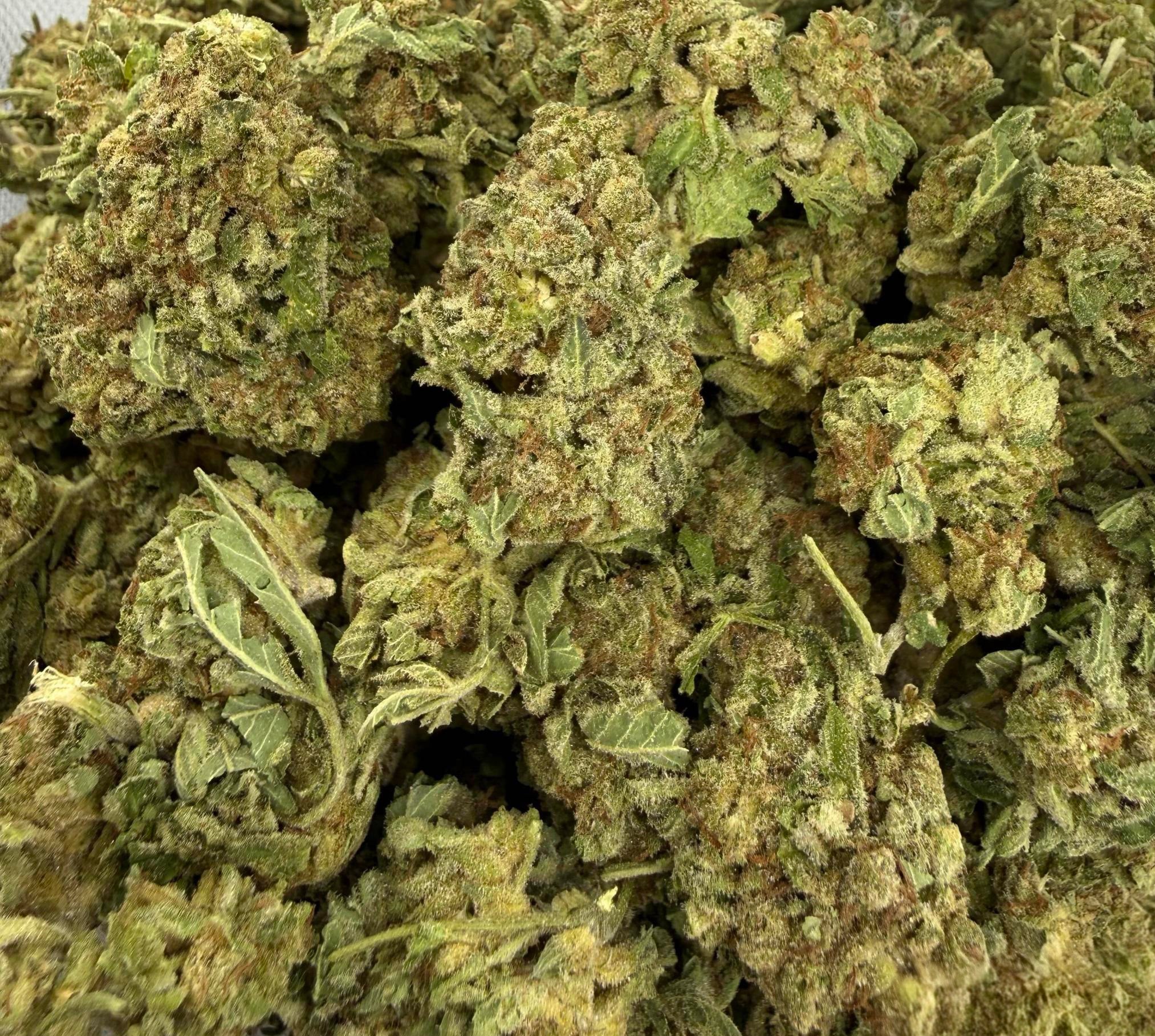 Zombie Kush AAA Indica