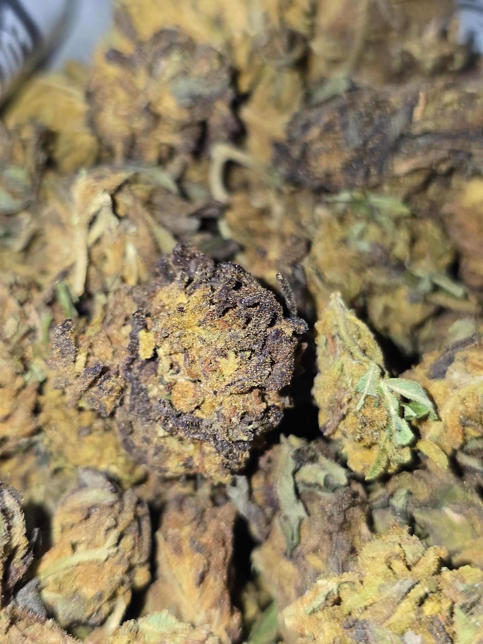Grape Ape Indica CHEAP OZ