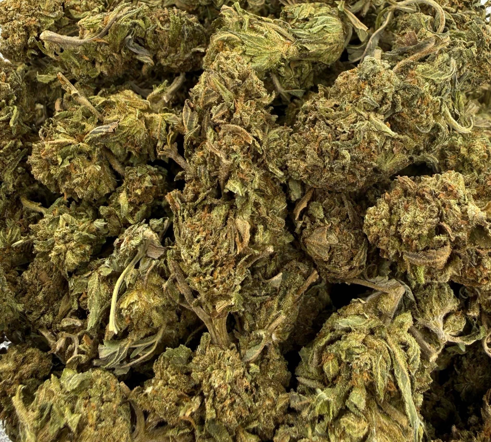 Green Caffiene Budget Oz Sativa
