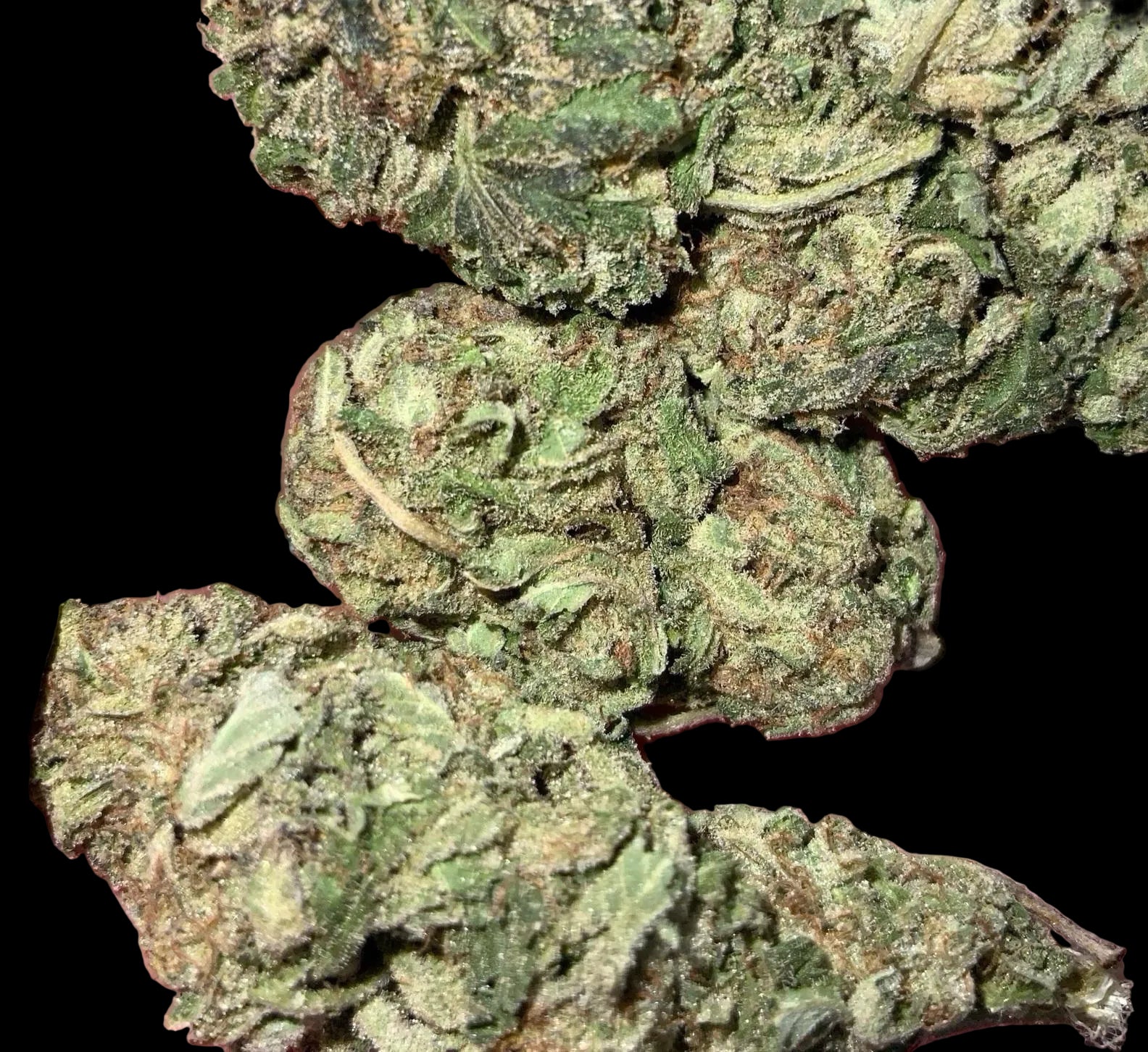 Blue Dream AAAA Sativa