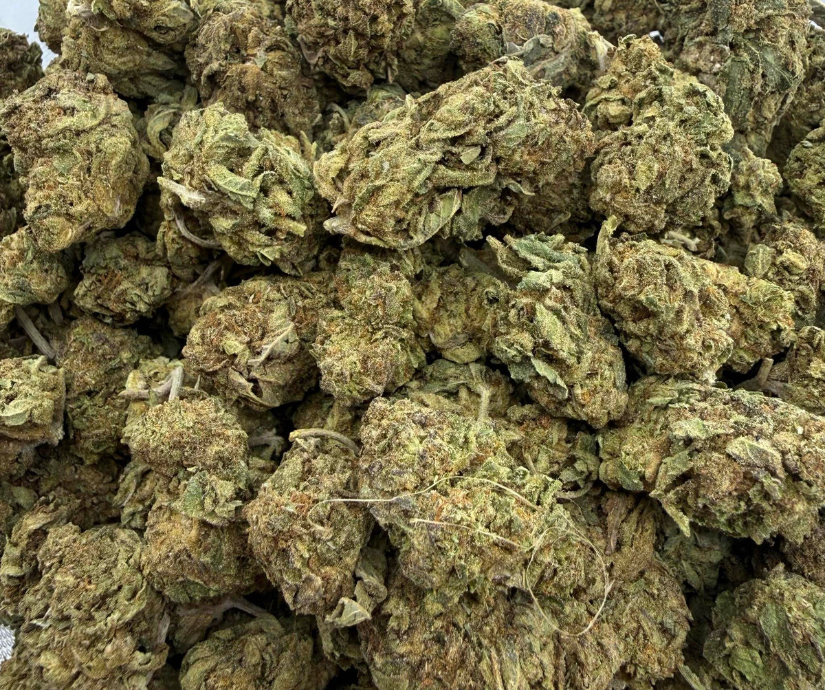 Lavender OG Budget Indica