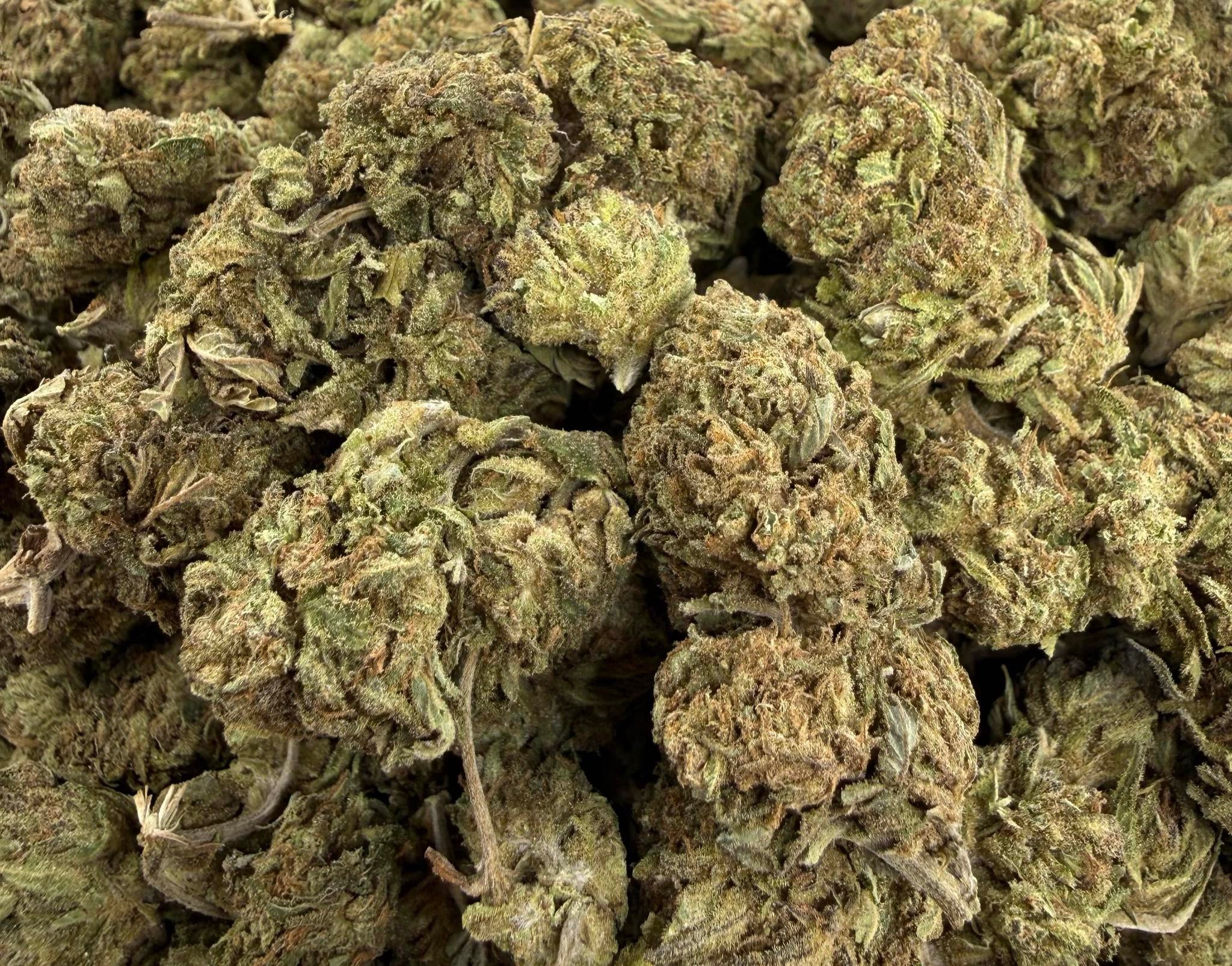 Amnesia Haze AA Sativa