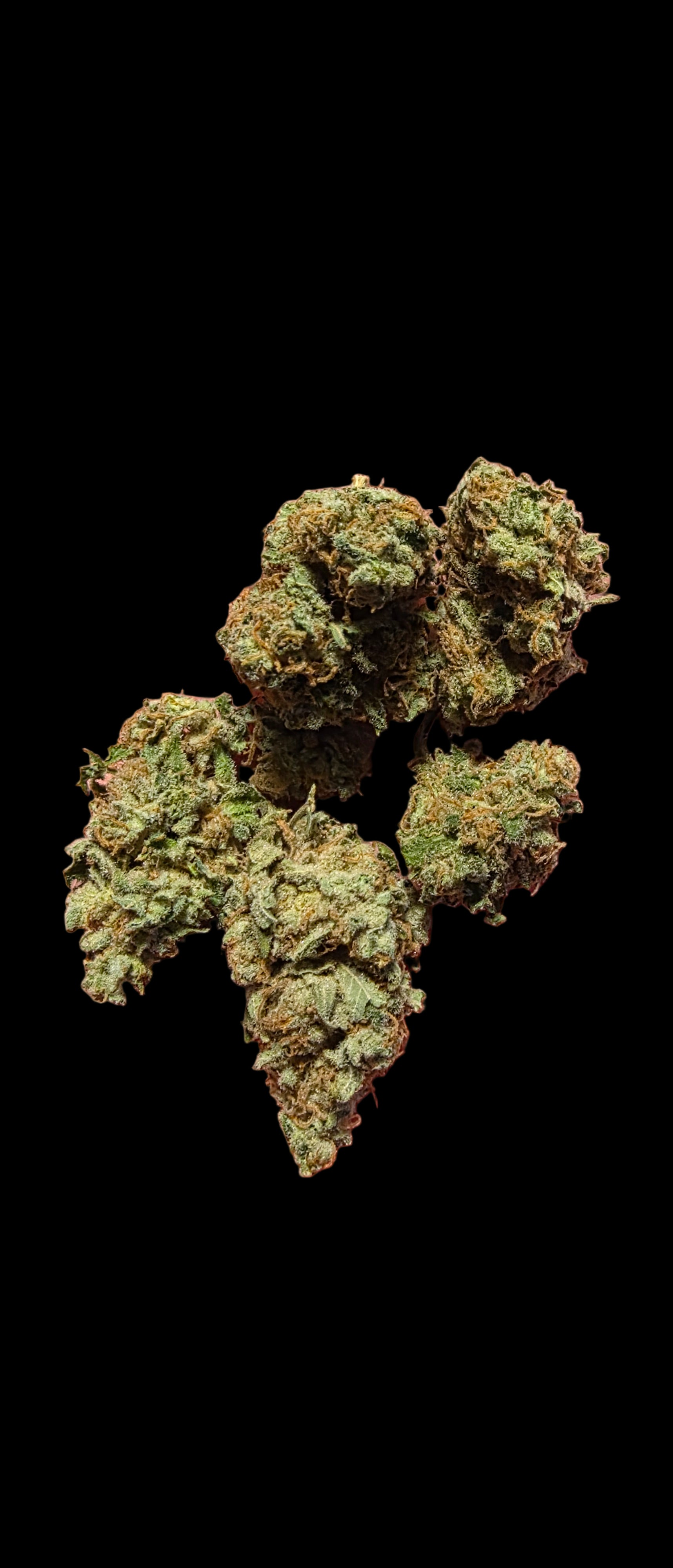 Grand Deathly Purple 💀 AAAA++