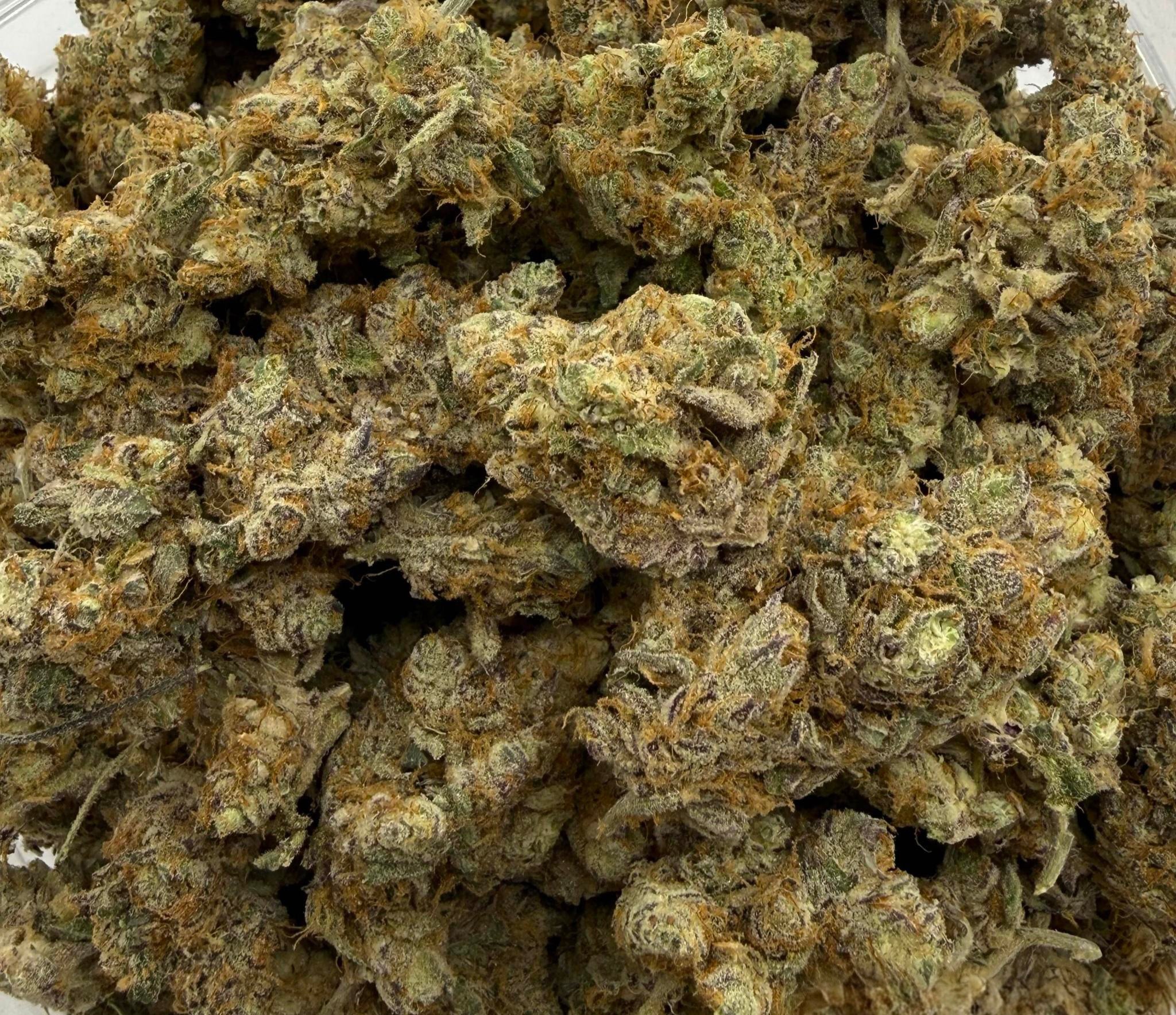 Sweet Island Skunk AAAA+ Sativa