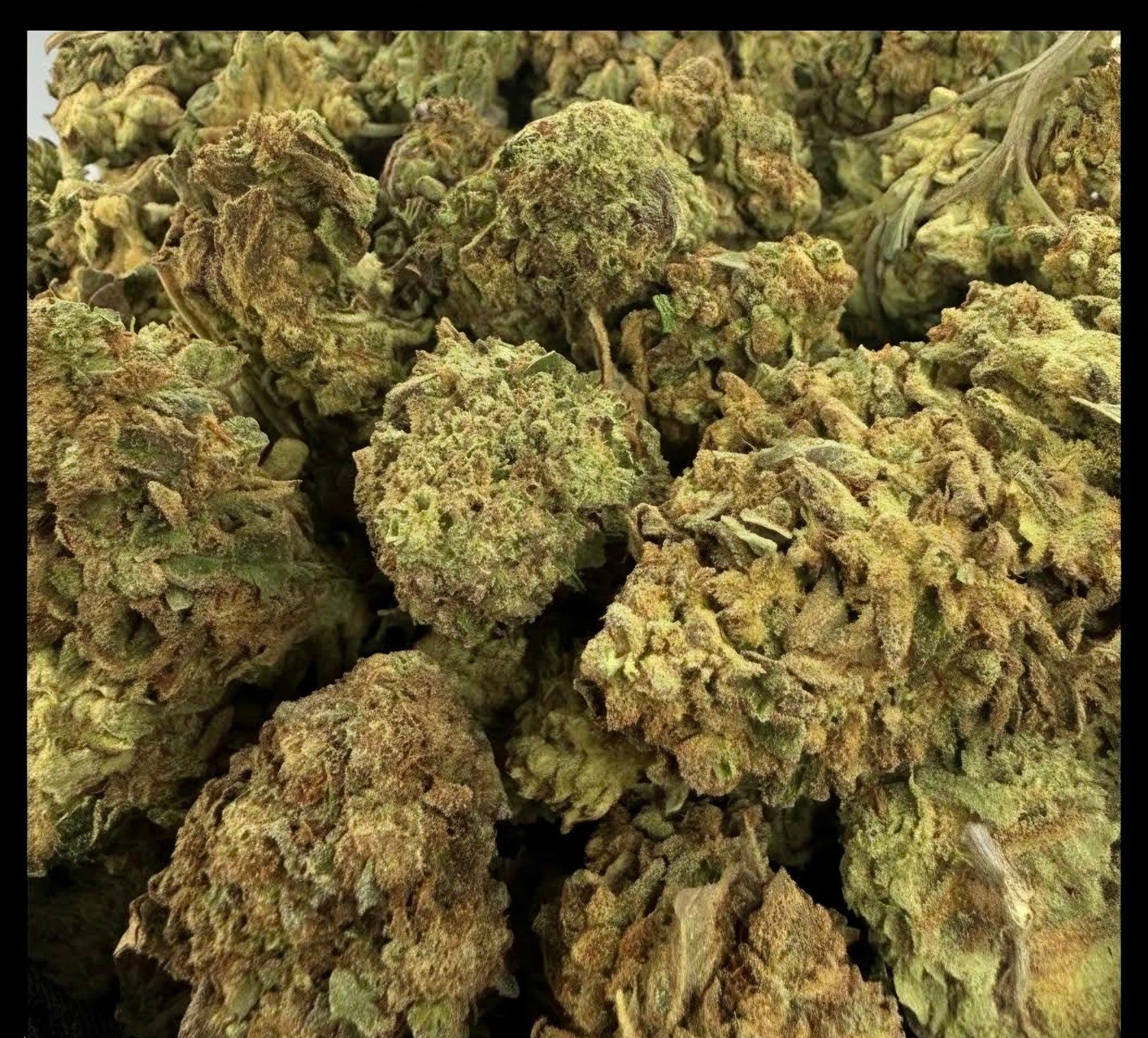 Love Potion AAA Sativa